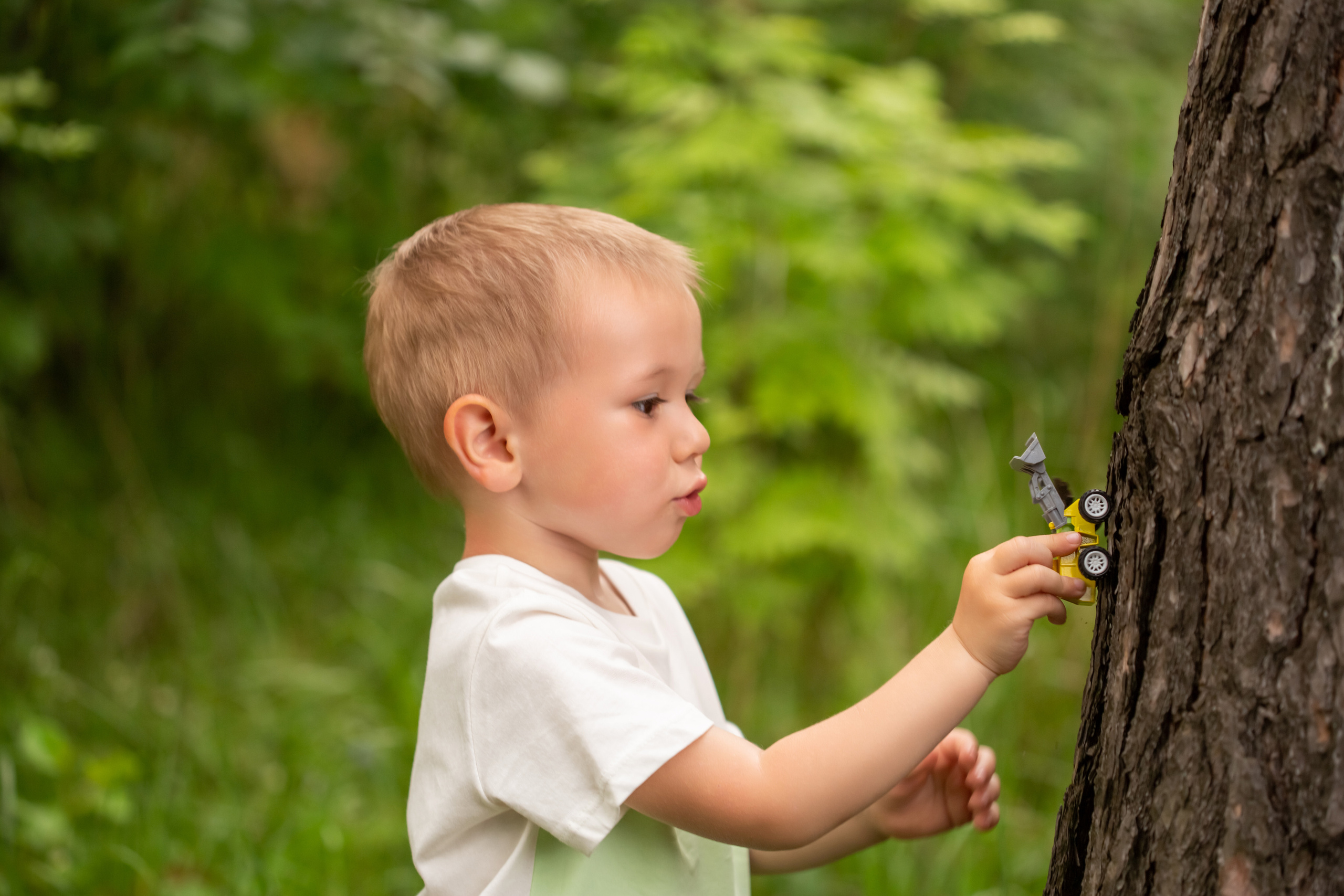 Маленьки мальчик катает машинку по стволу дерева в лесу