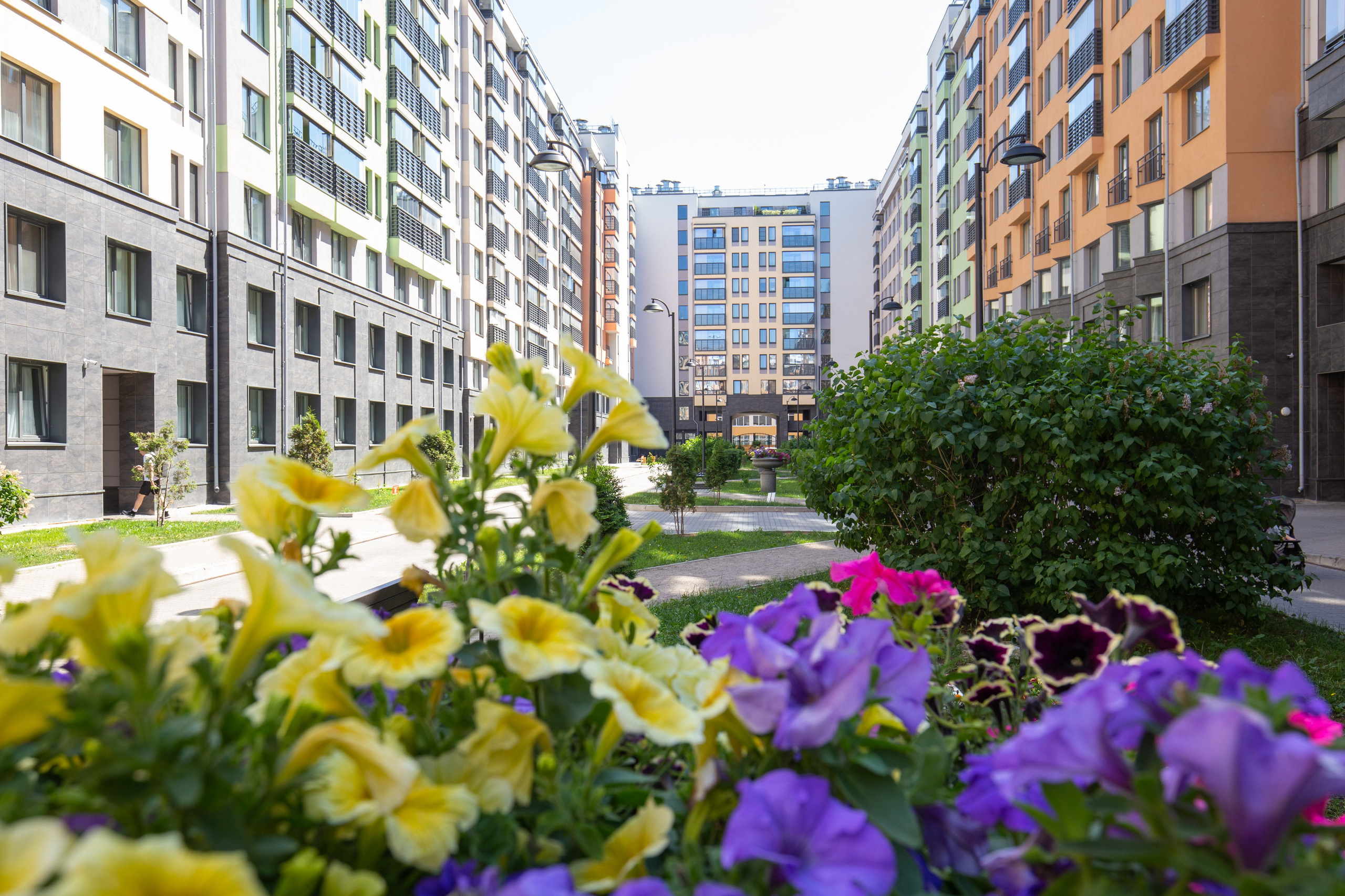 Отзывы. Полина Носкова интерьерный фотограф