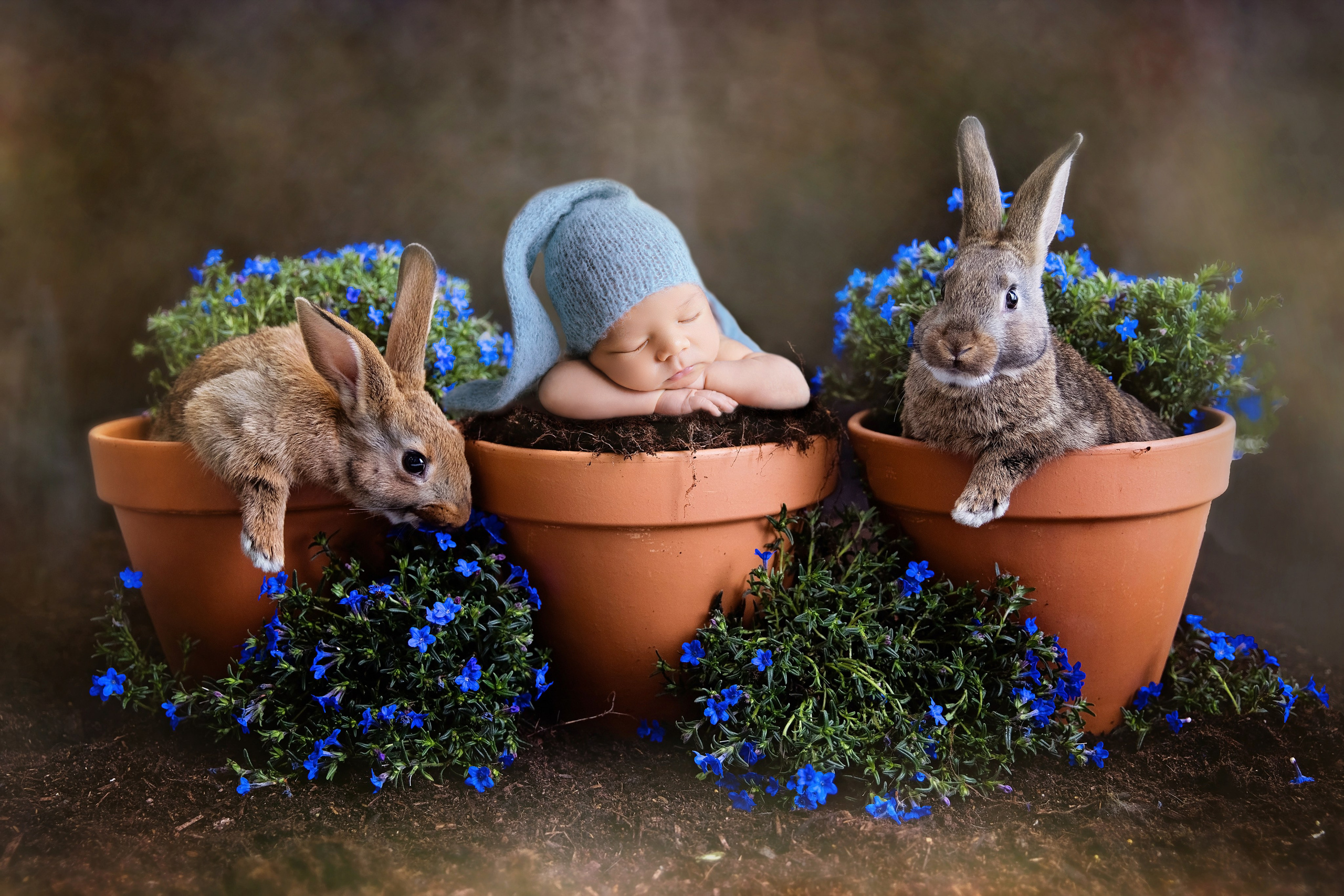 Услуги. Фотограф новорождённых Псков