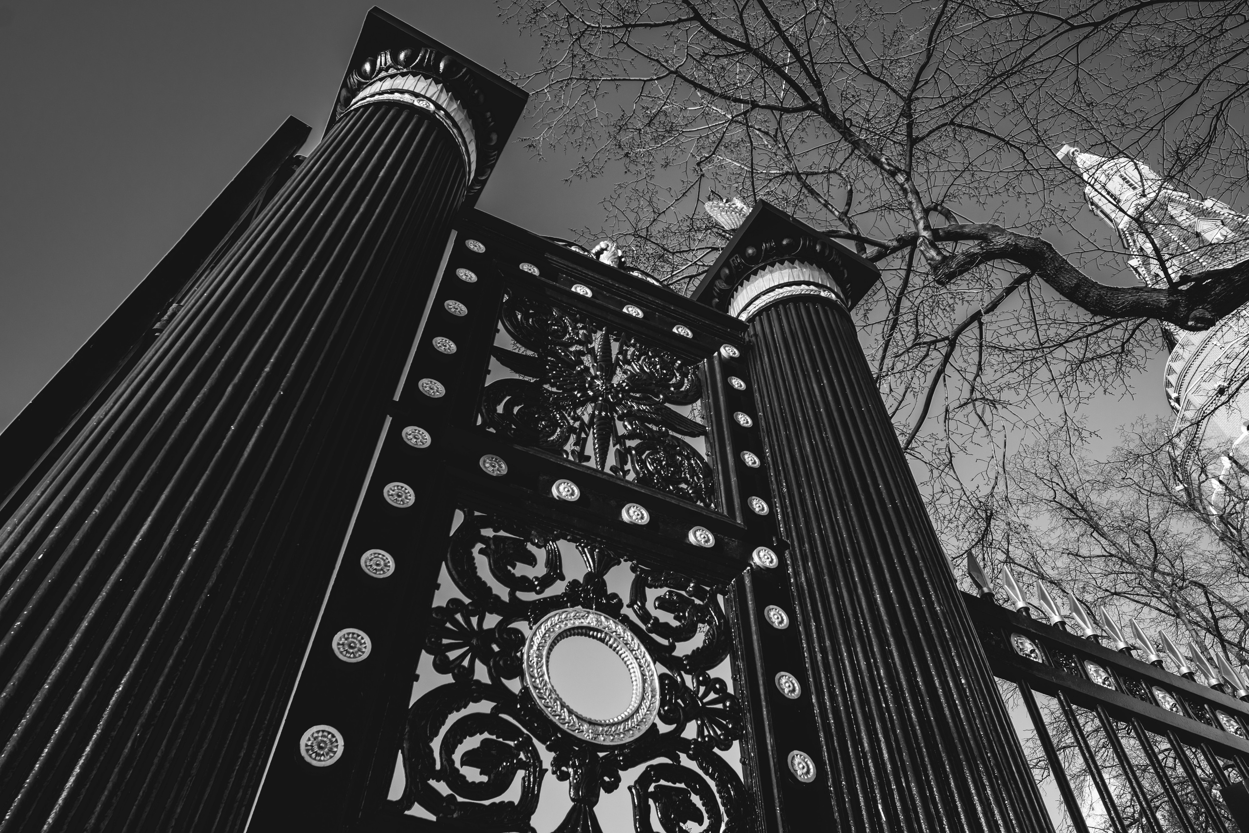 Александровский сад