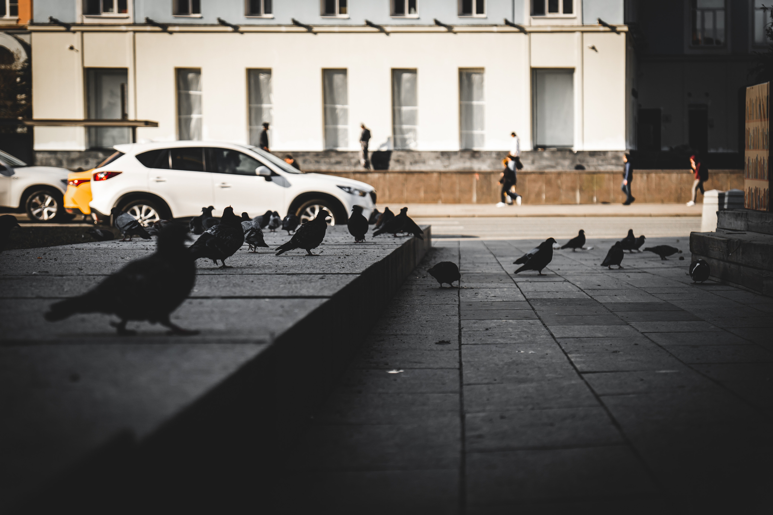 Голуби на Новом Арбате в Москве