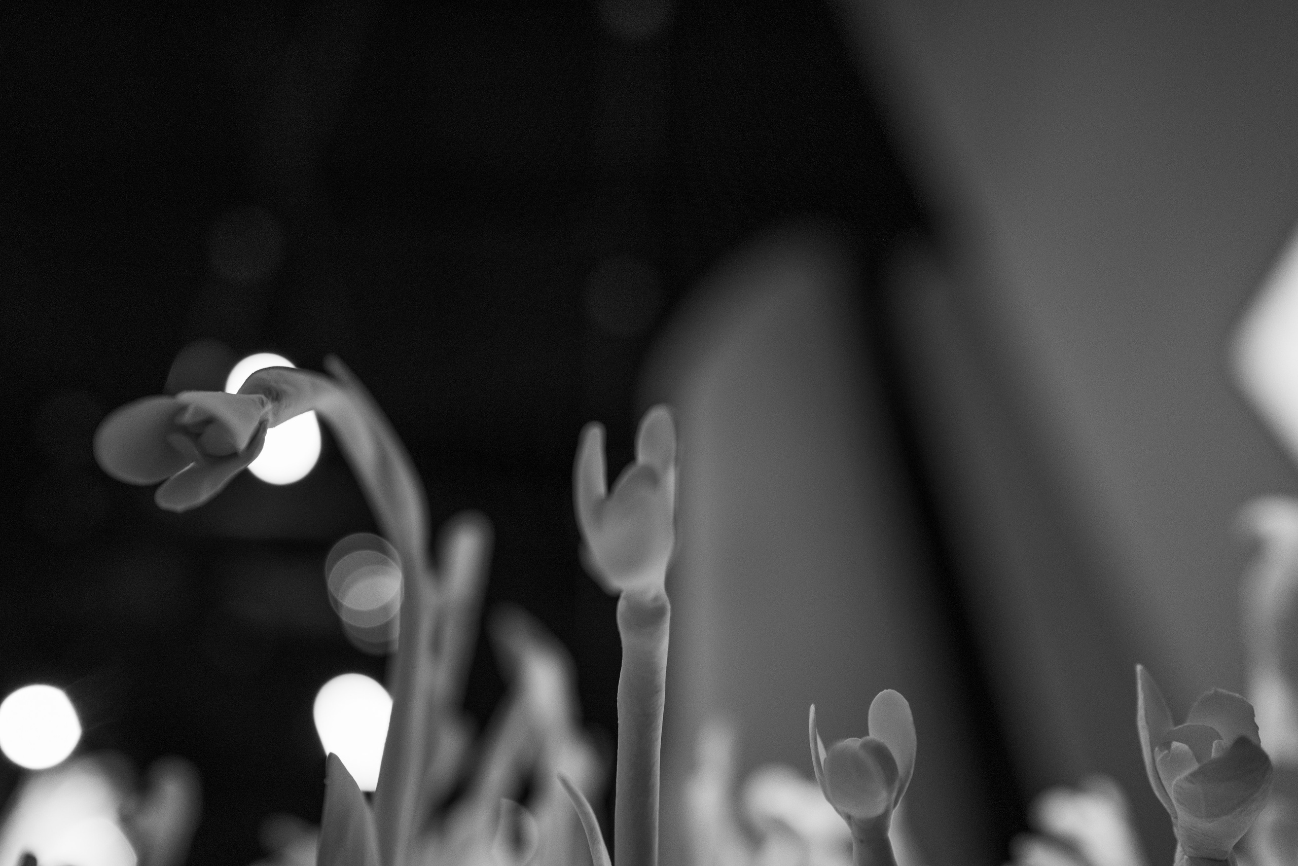 Инсталляция с ростками в Паркинг Галерее в Зарядье