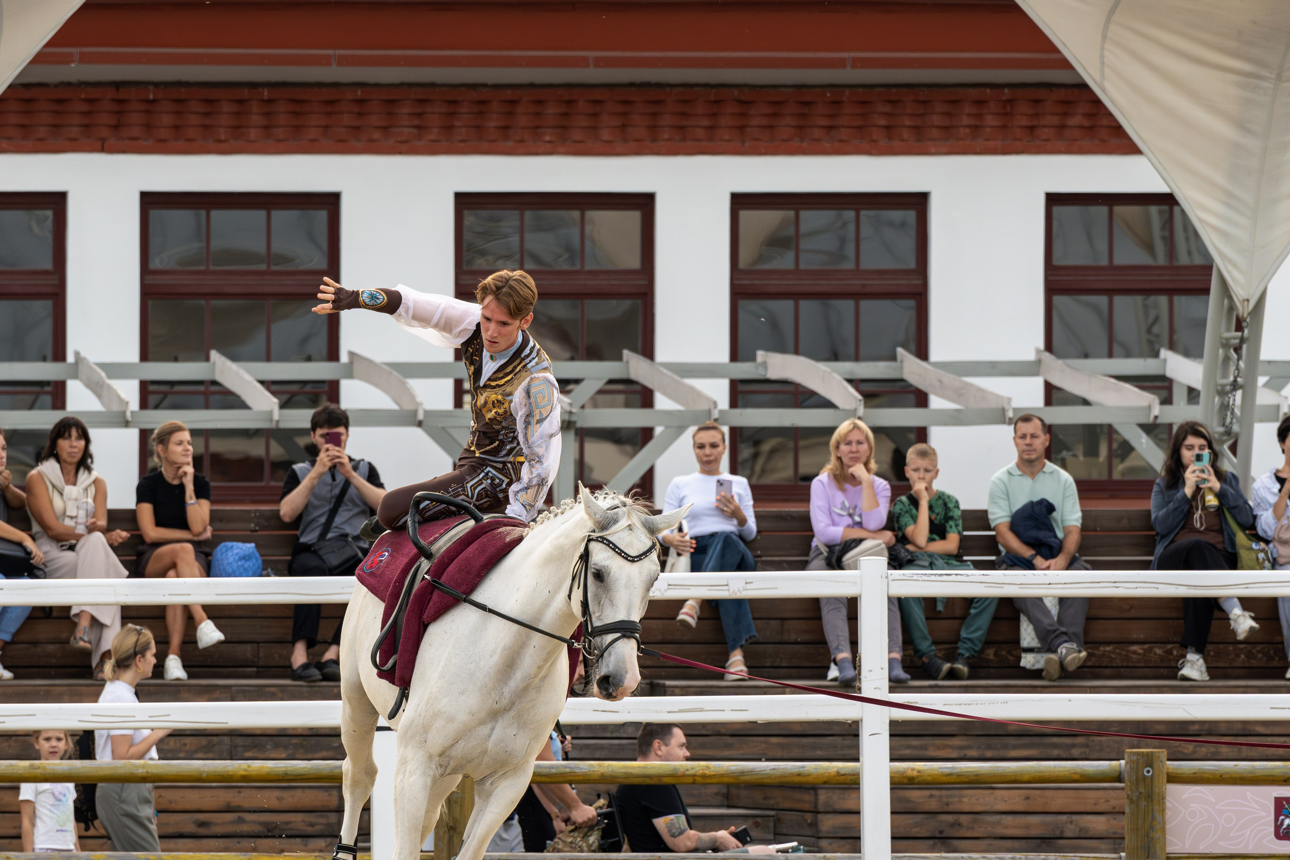 Лошадки. Вячеслав Ка