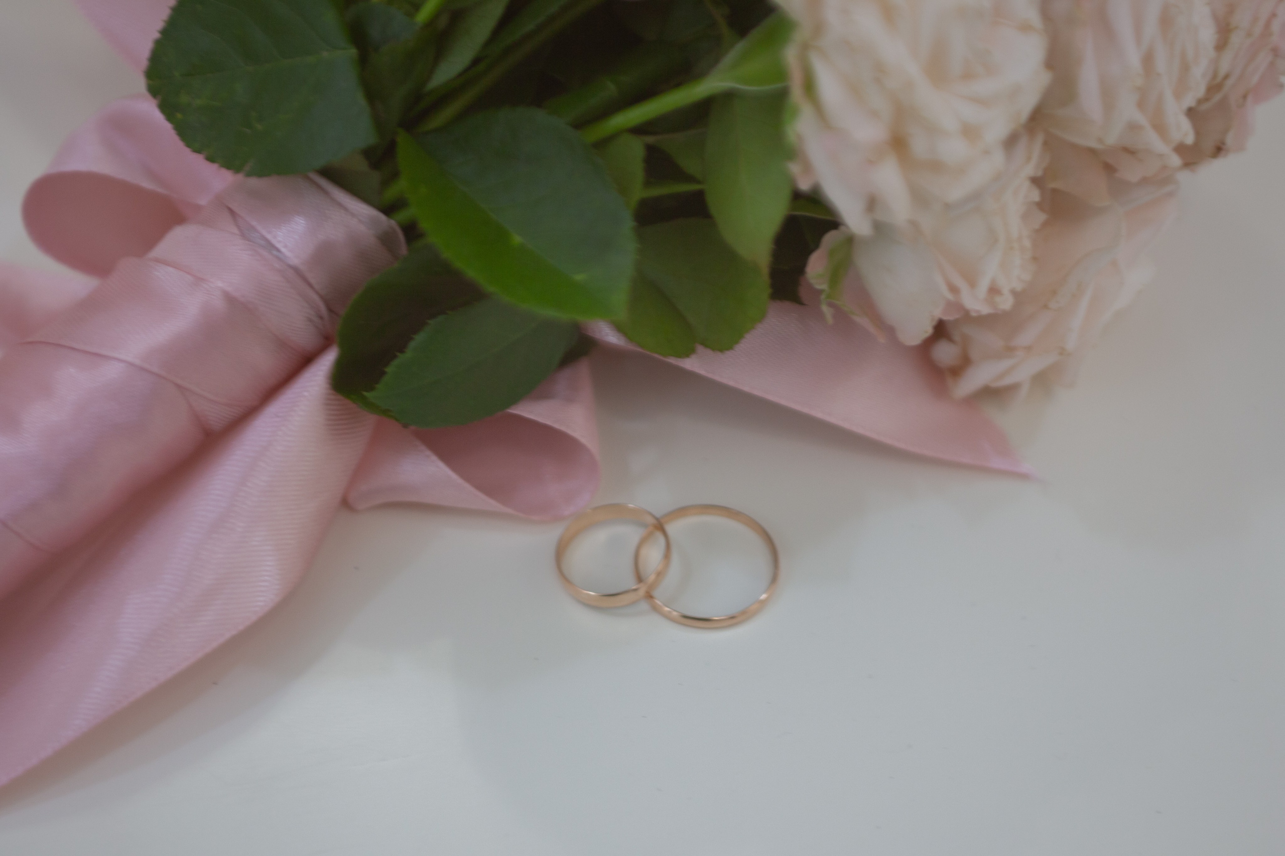 ГАЛЕРЕЯ СЪЁМОК