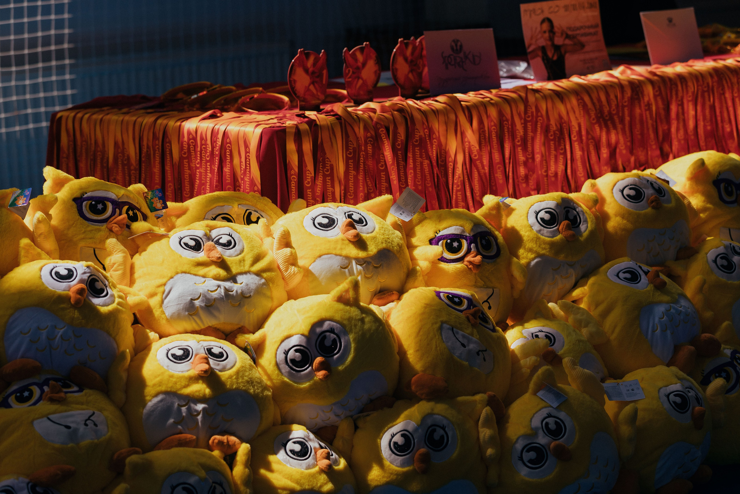 Gamayun Cup. Смоленск. 21–22 июня 2025. Спортивный фотограф Александр Васильев. RG и AGG