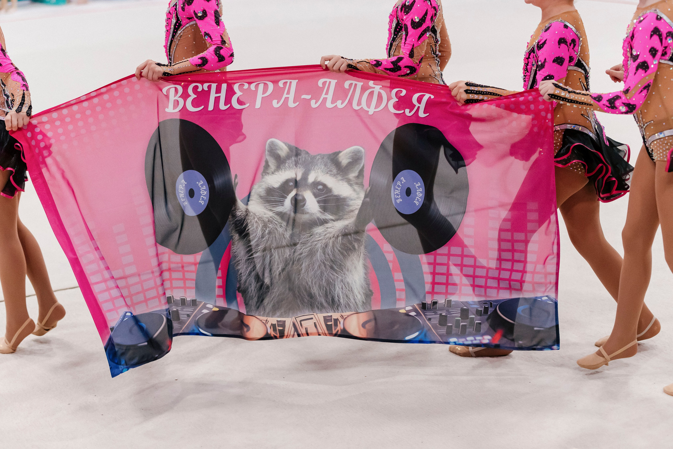 Открытый IX турнир по эстетической гимнастике «ВЕНЕРА 2025». Спортивный фотограф Александр Васильев. RG и AGG