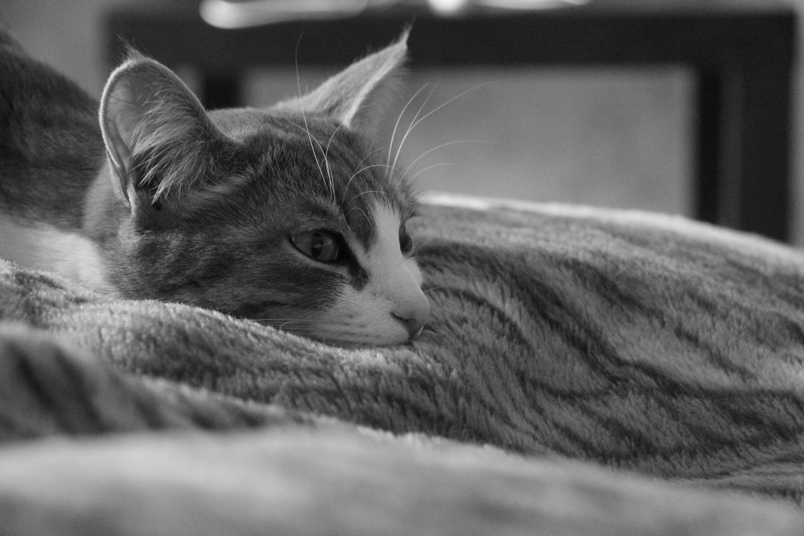 Фотограф Ирина Яковлева, Екатеринбург, Берёзовский