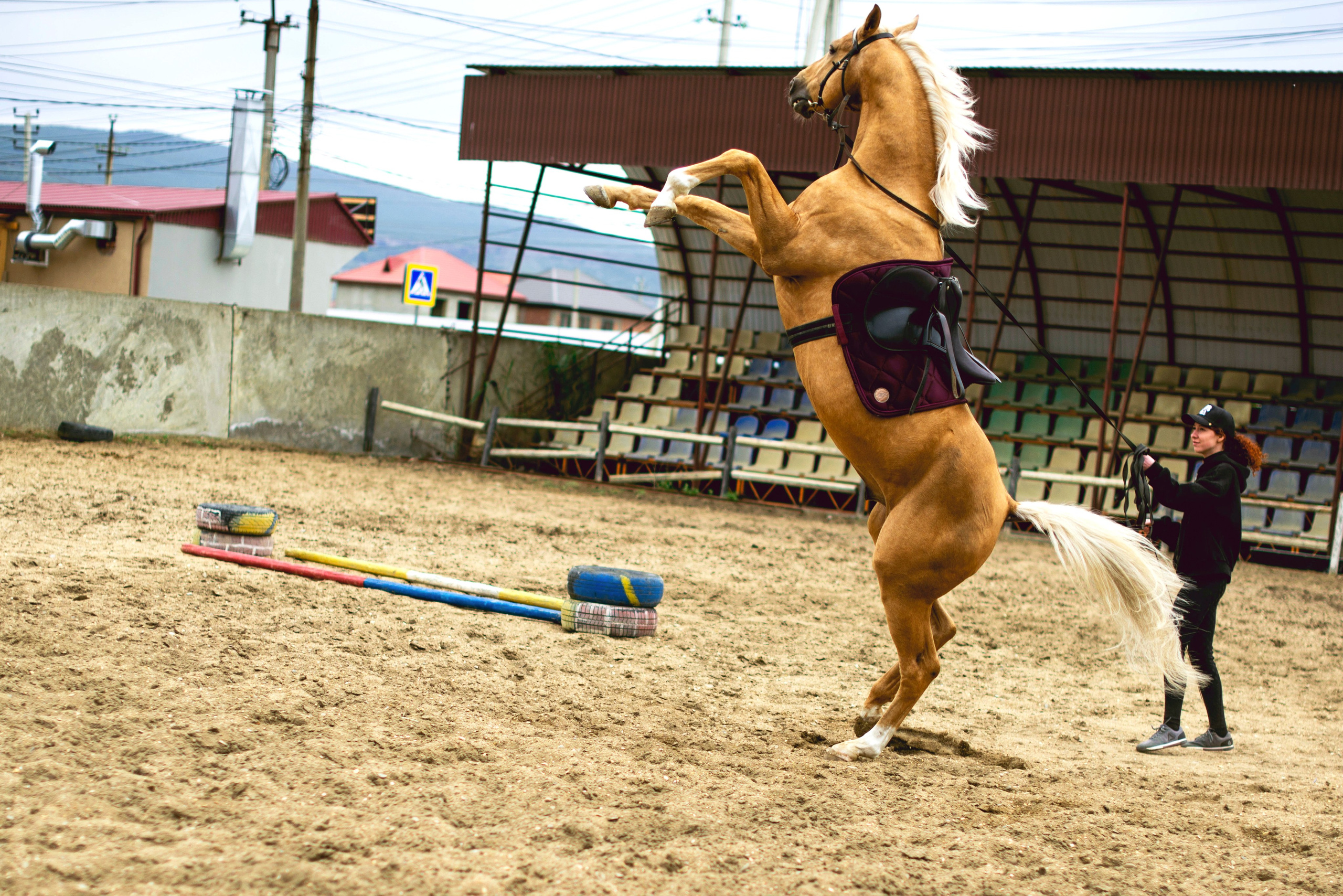 Конная фотосессия
