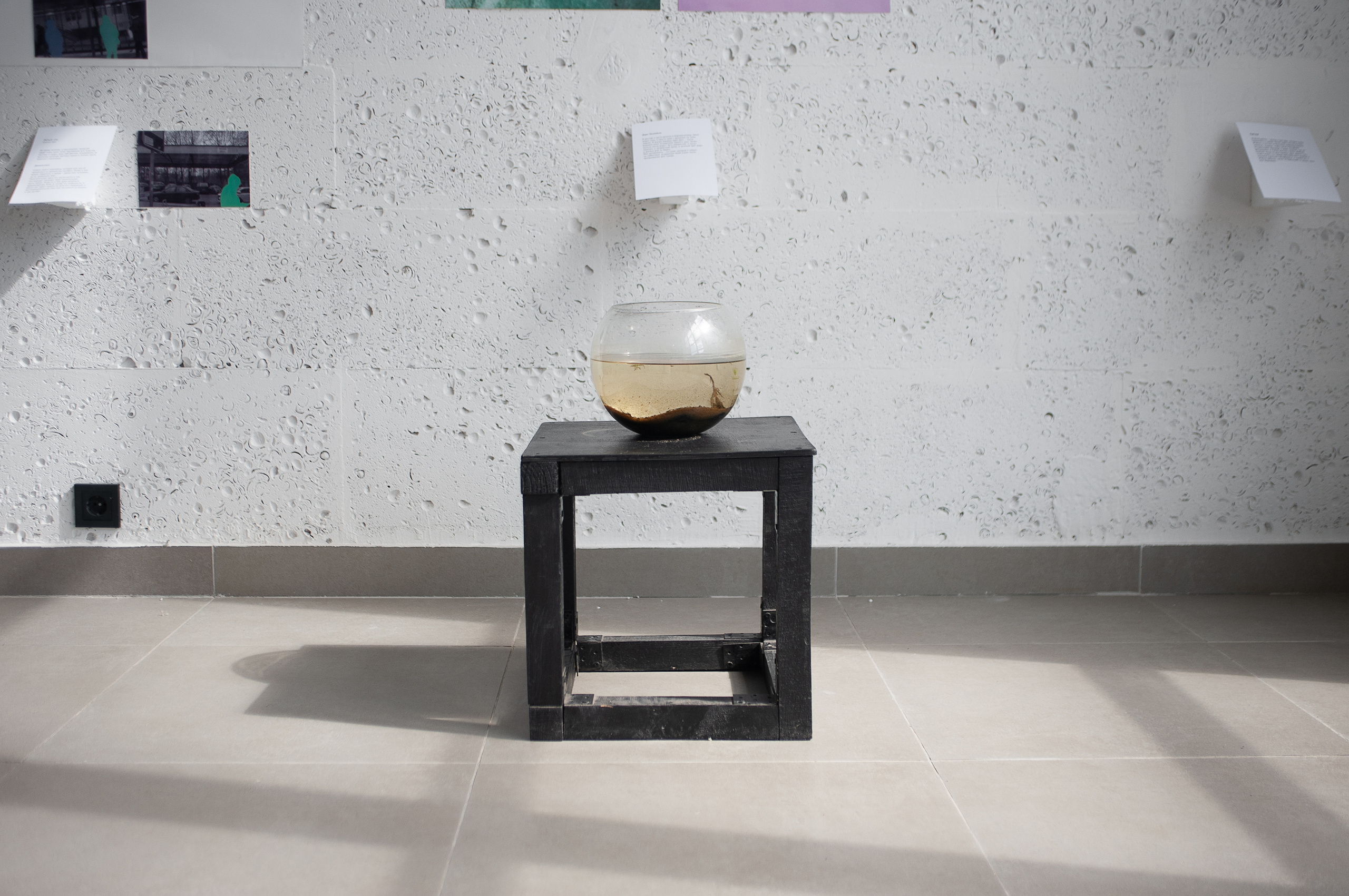 Прочтение города. «ФотоСинтез»