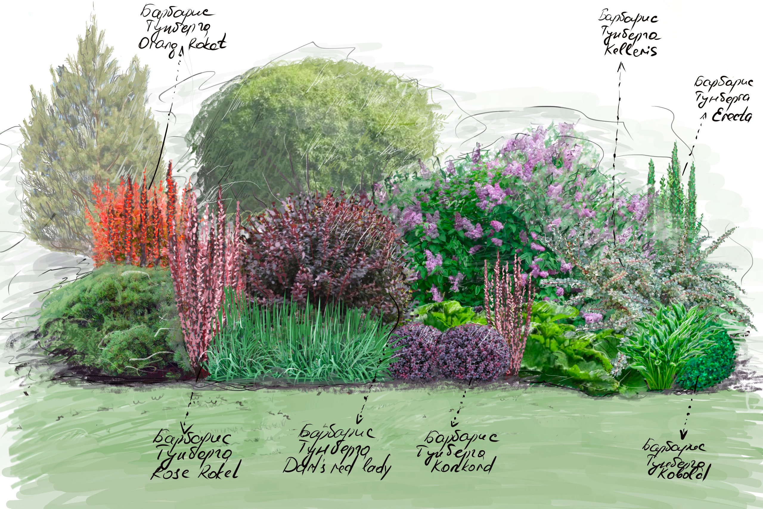 Проекты. Студия ландшафтного дизайна в Москве. Love My Garden