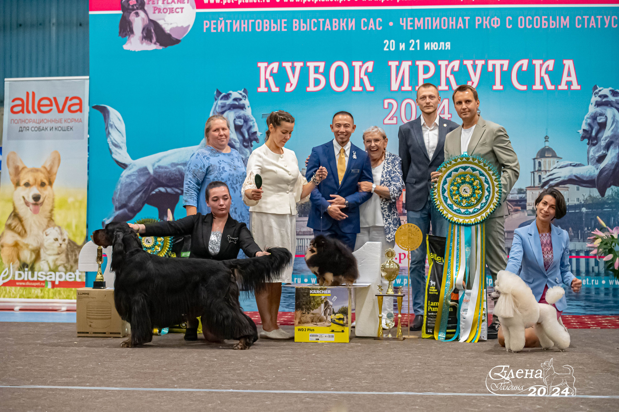 ✨Услуги. Фотограф анималист Елена Галдина г. Красноярск