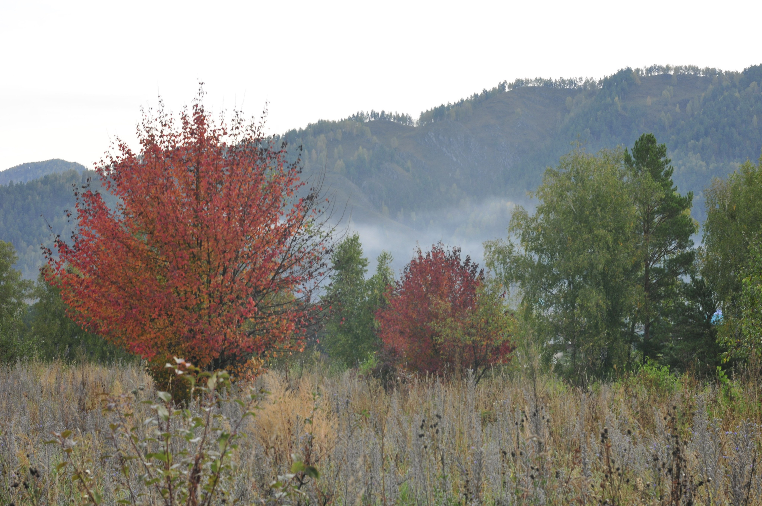 Женские портреты. Портретный фотограф в республике Алтай Юлия Шевченко