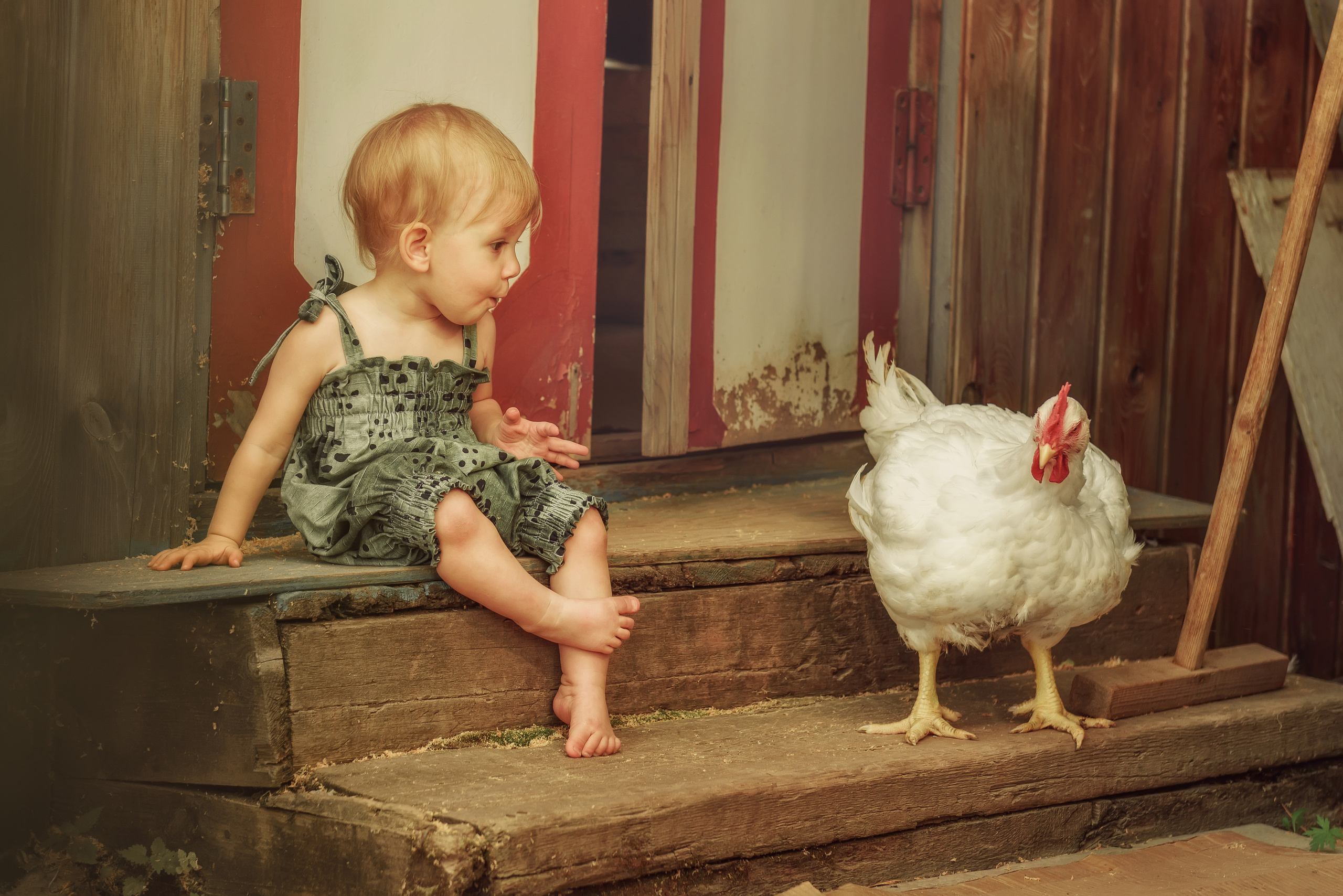 Стоимость и услуги. Семейный фотограф в Братске Маклакова Татьяна