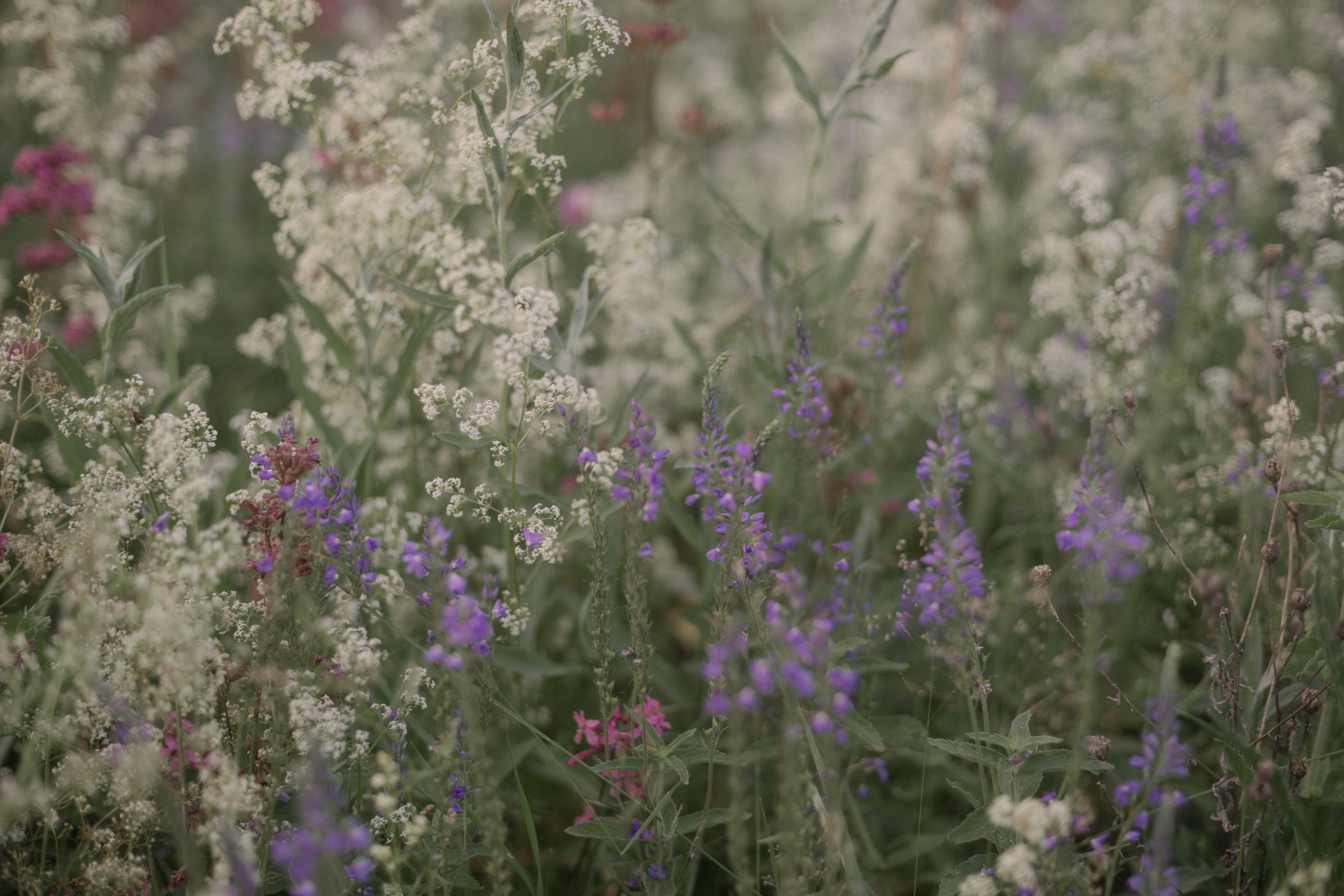 АРТ-ТЕРАПИЯ. Художник, фотограф и арт-терапевт в Казани Аймалетдинова Альмира