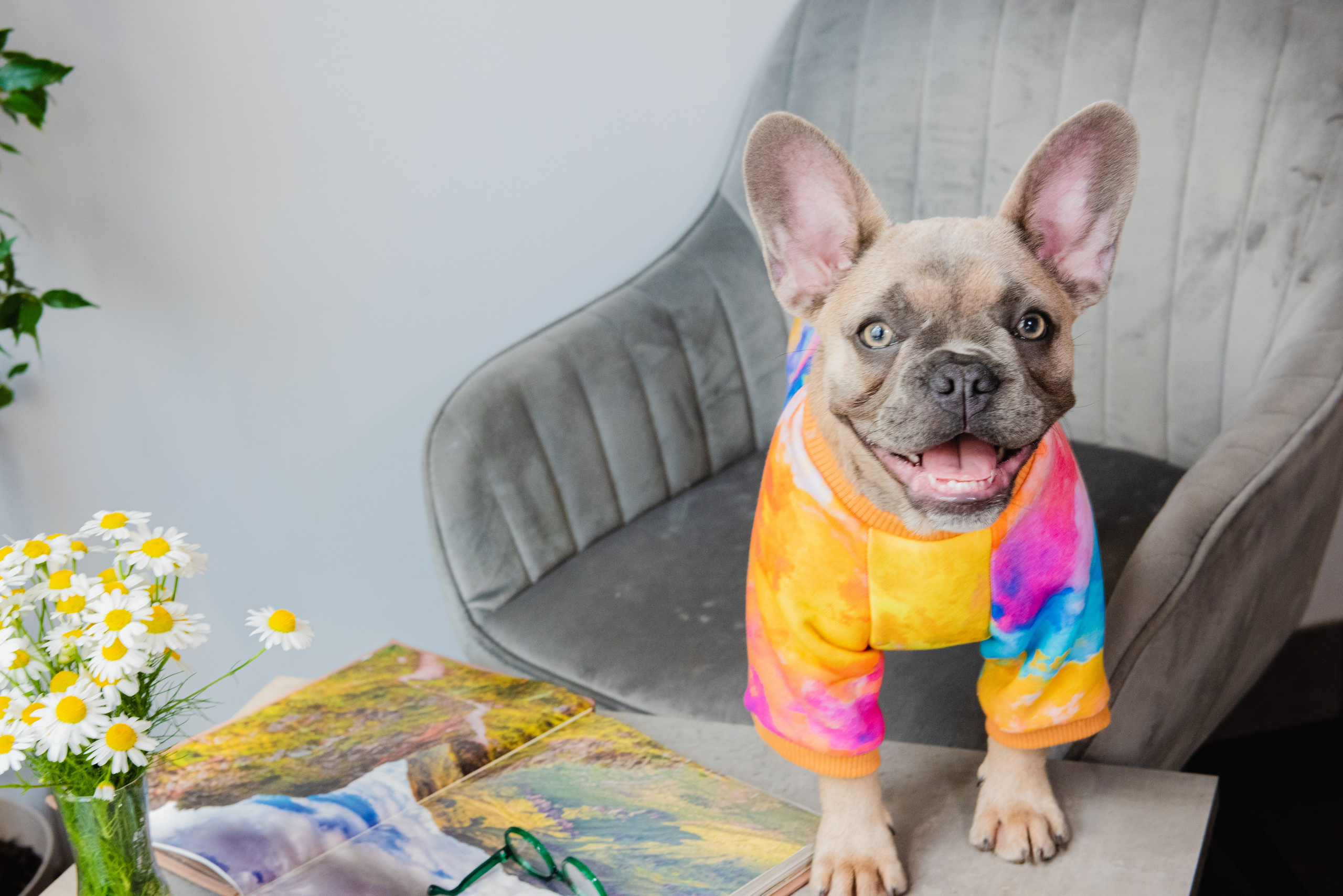 Услуги. Фотограф в Москве Daria Lens