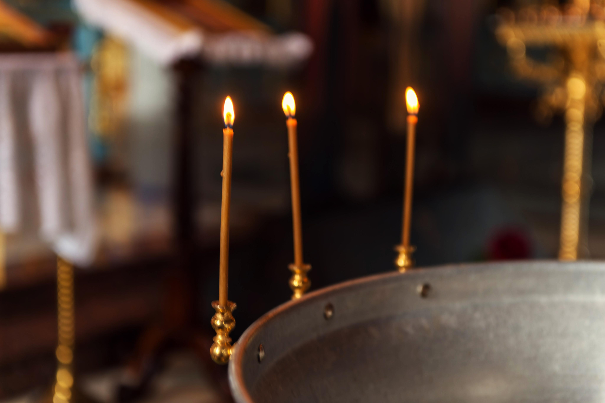 Фотограф Яна Сергеенкова