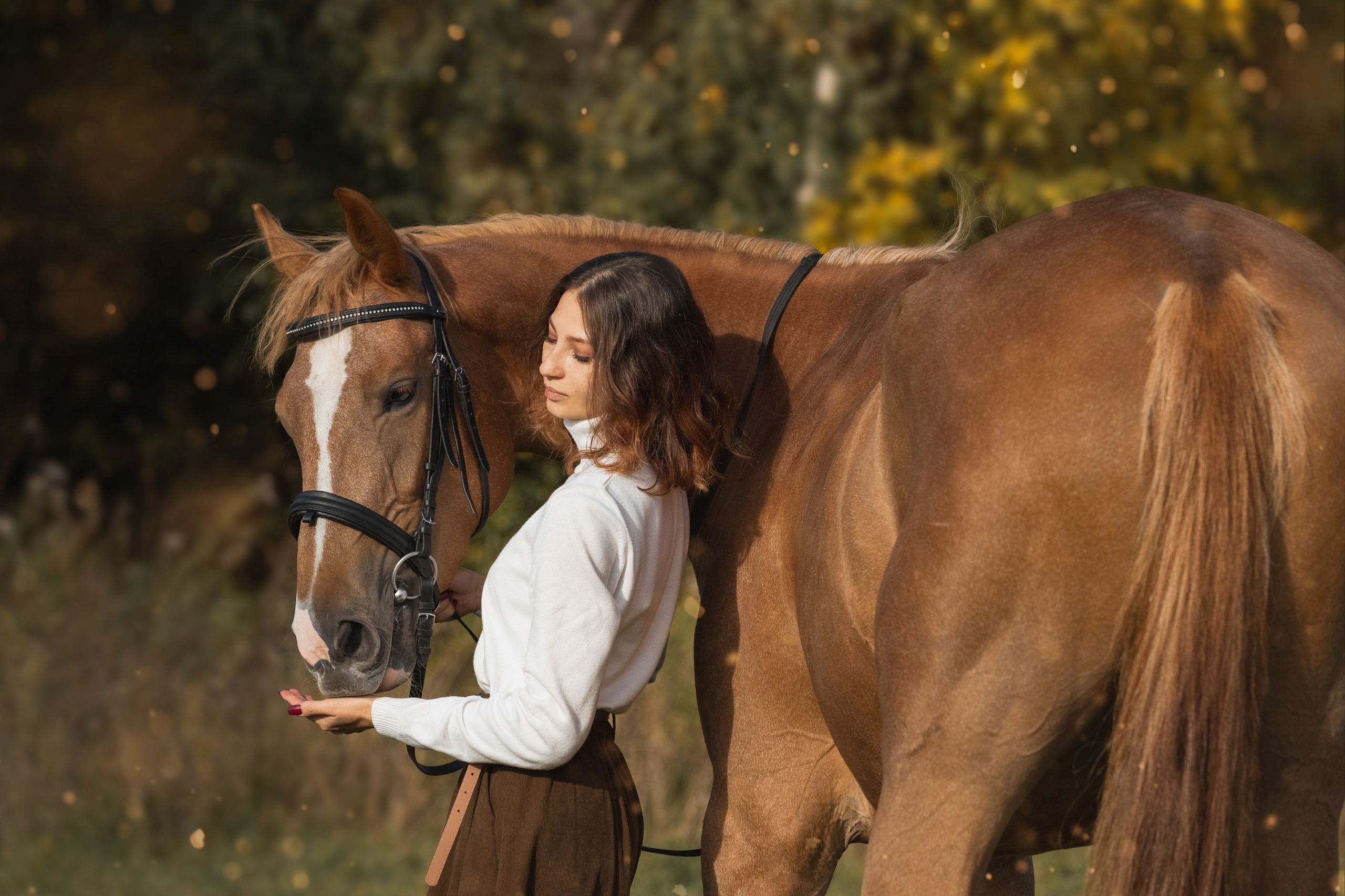 Услуги. Главная