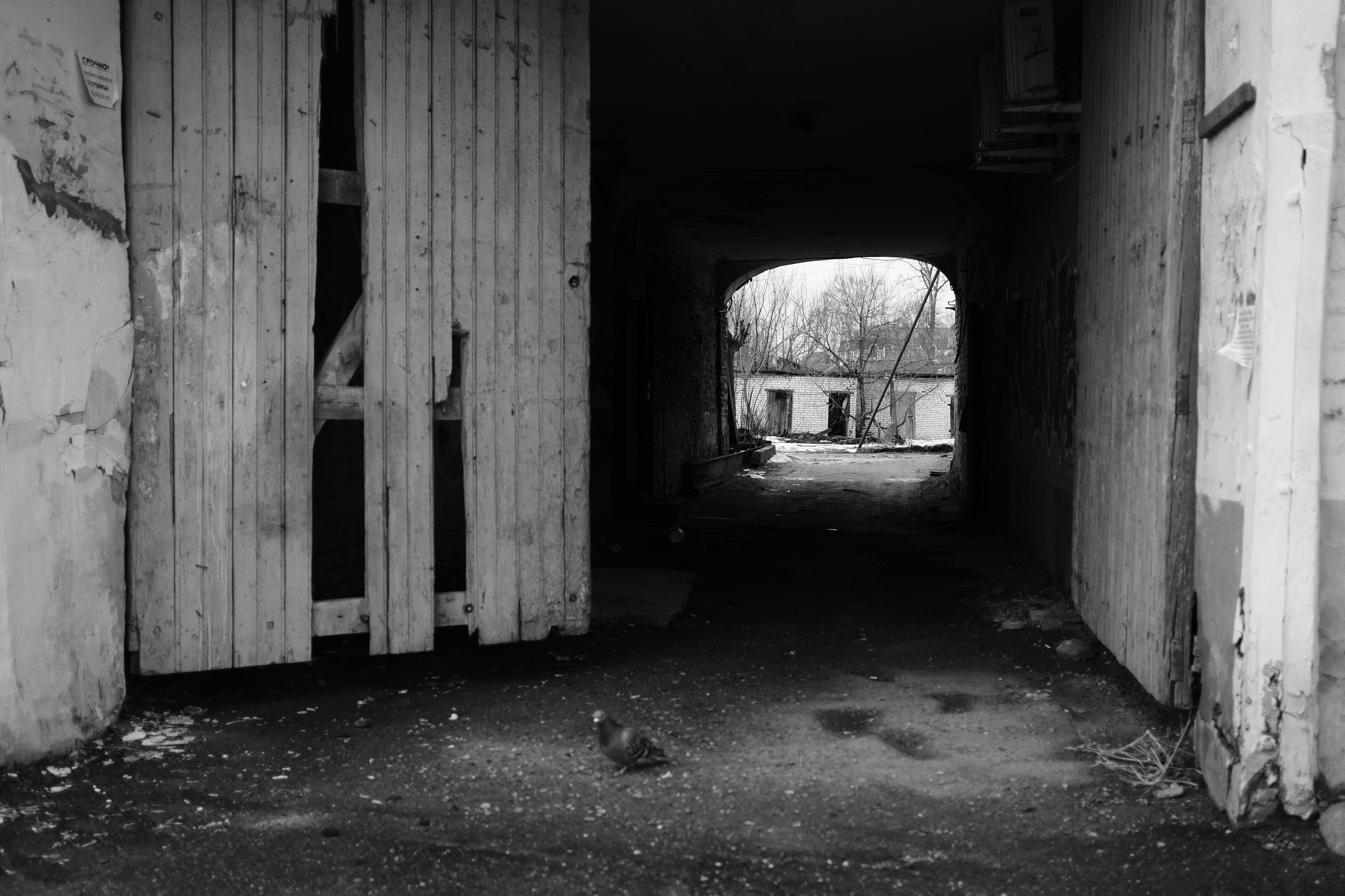 Темный арочный проход с деревянными воротами ведущий во двор, голубь на земле, черно-белое фото старой архитектуры Переславля