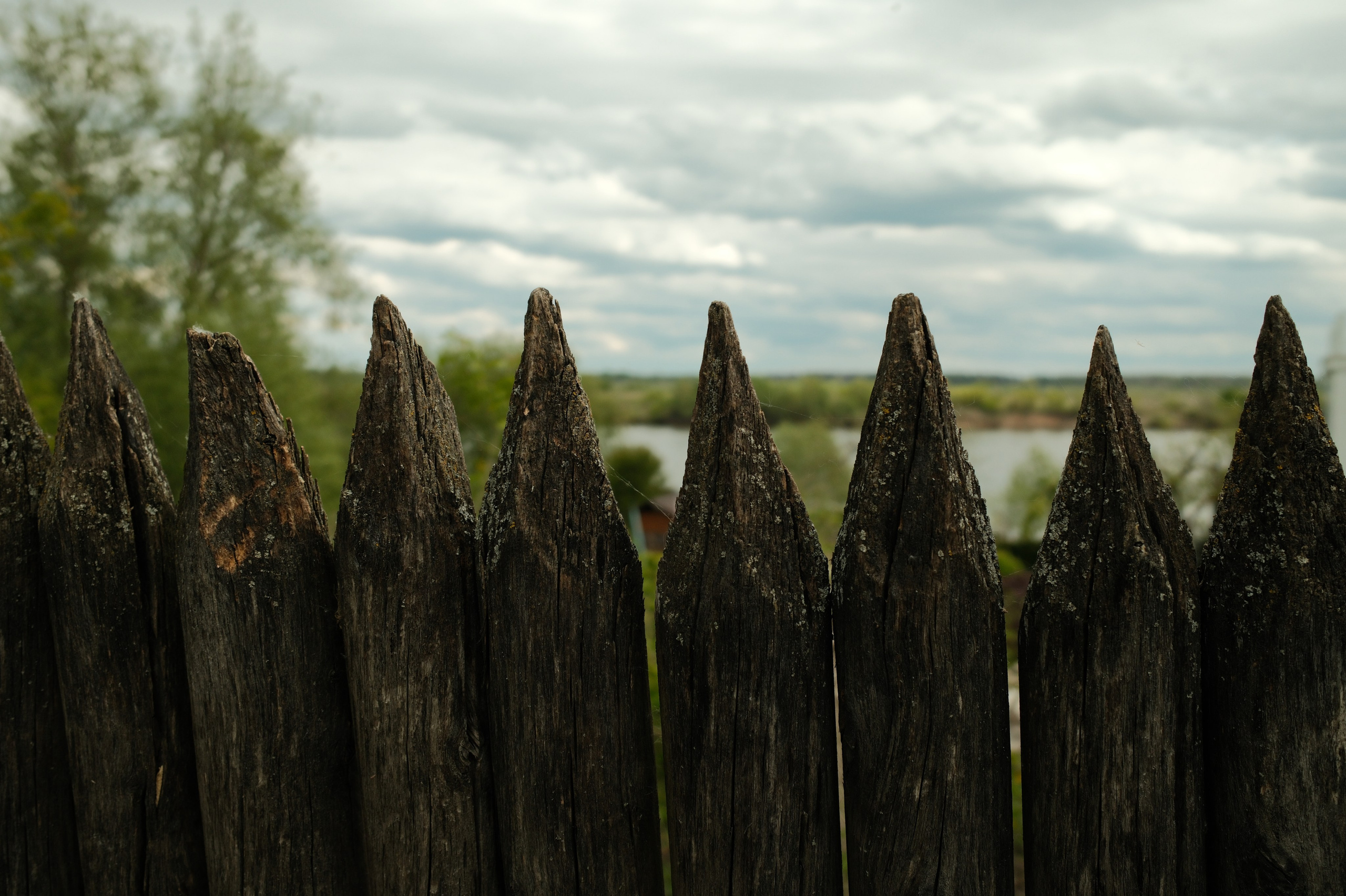 Ритм и цвет города Мурома. Belugin Art