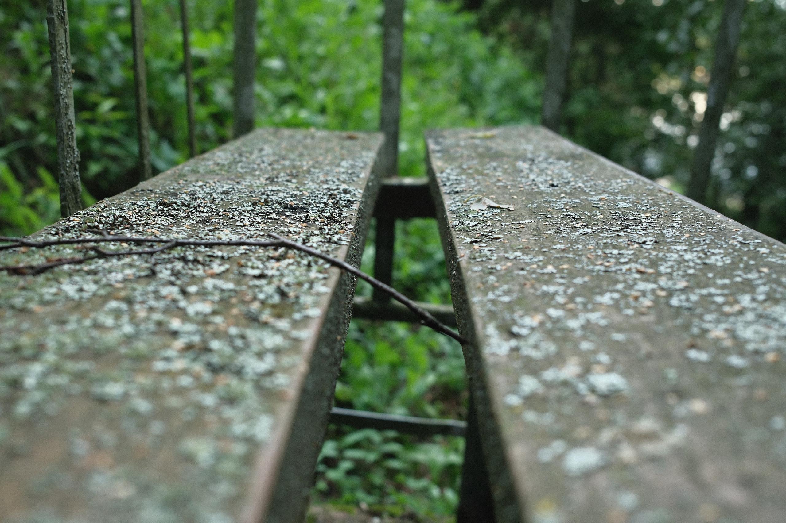 Солнечная на Оке. Belugin Art