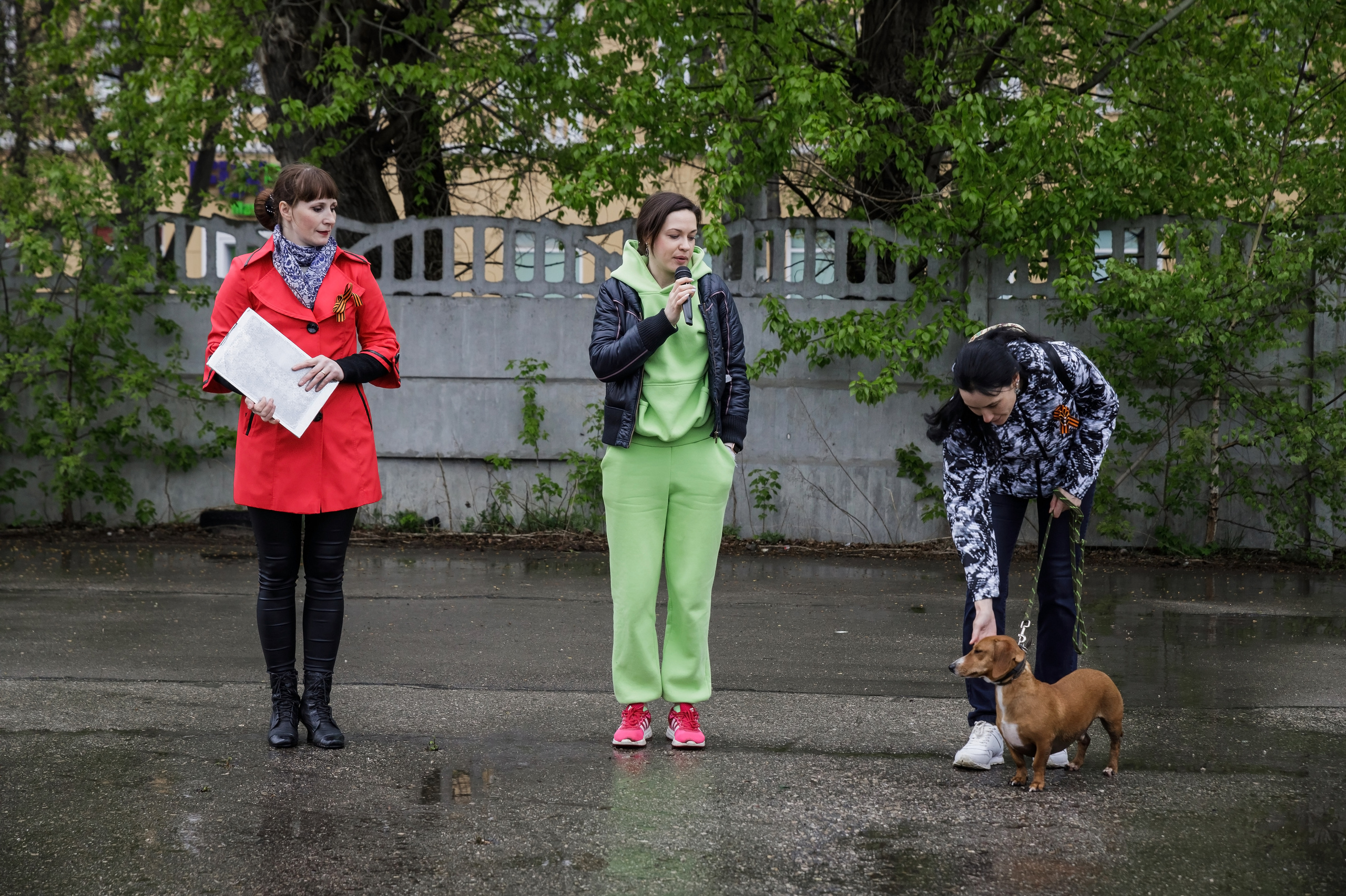 Третья выставка беспородных собак «Для дружбы не важна порода». НРОО КЦ "Собаковод"