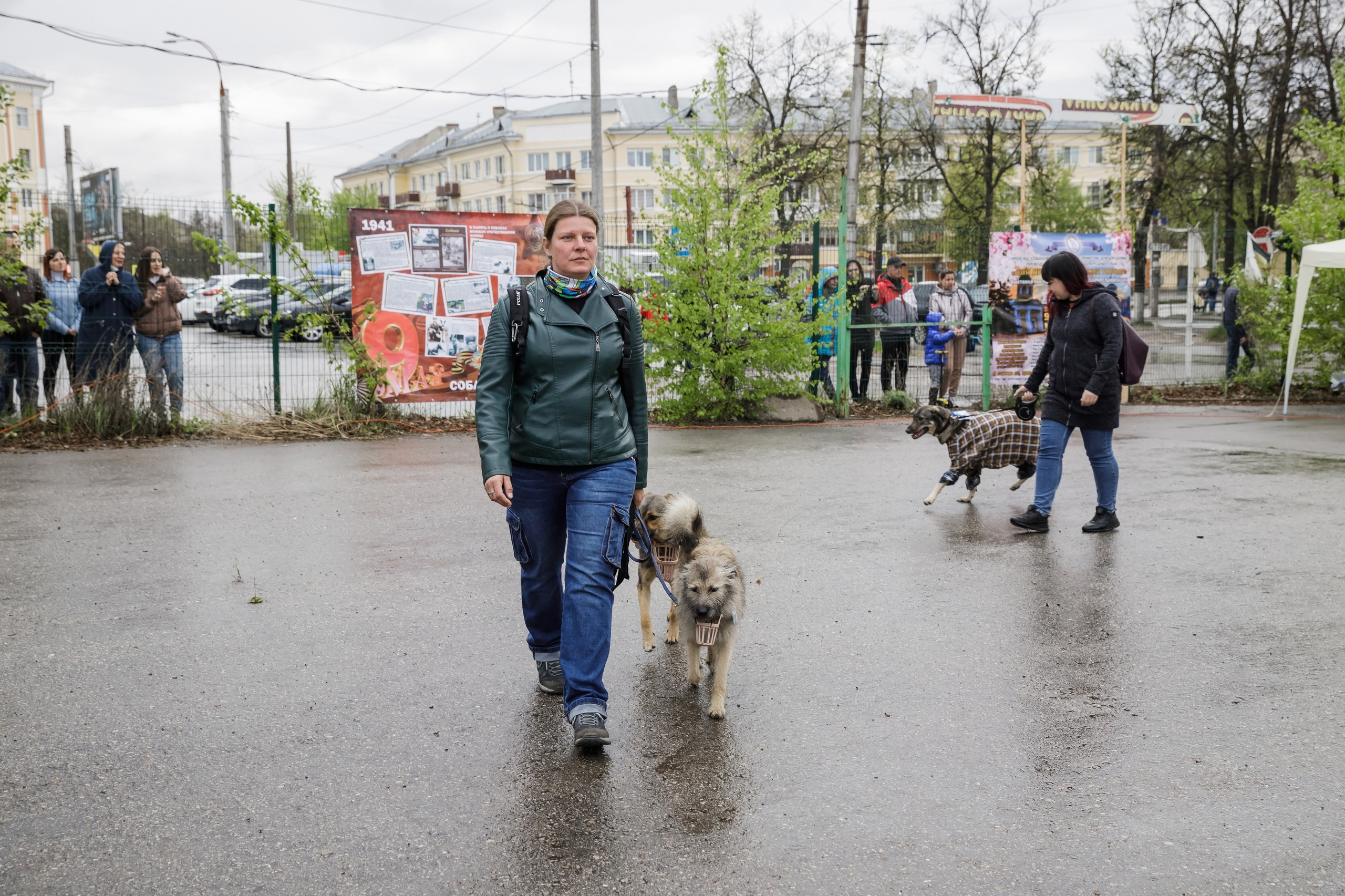 Третья выставка беспородных собак «Для дружбы не важна порода». НРОО КЦ "Собаковод"