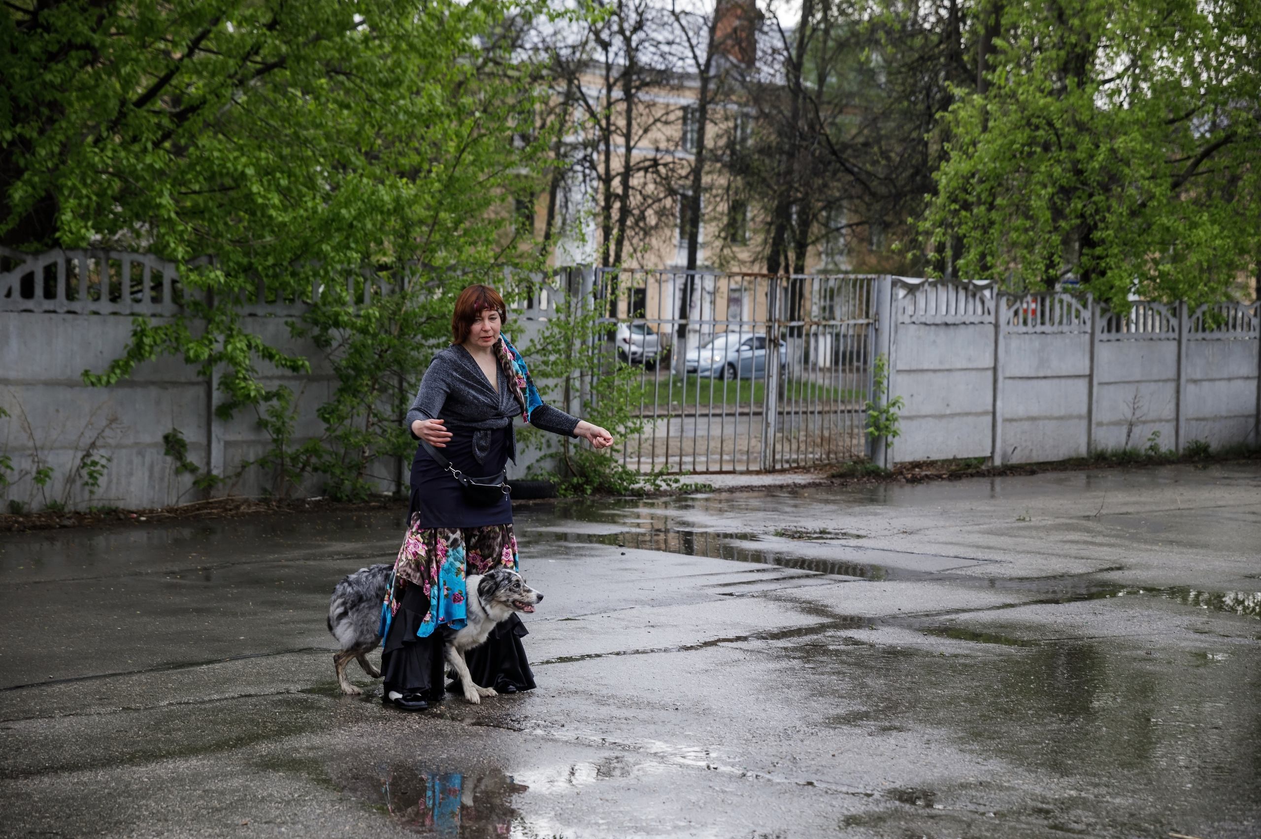 Праздник посвященный героям ВОВ-кинологам и их собакам. НРОО КЦ "Собаковод"
