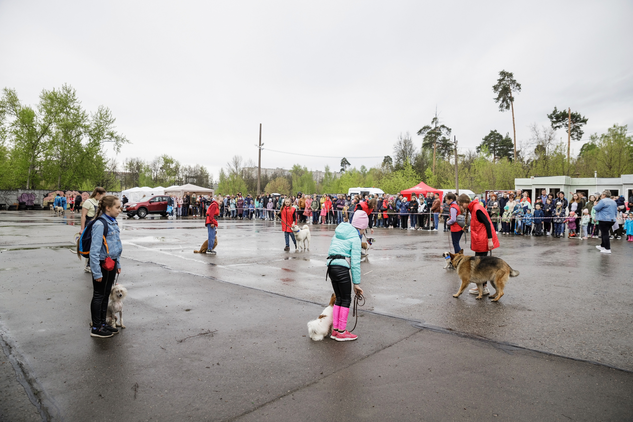 Праздник посвященный героям ВОВ-кинологам и их собакам. НРОО КЦ "Собаковод"
