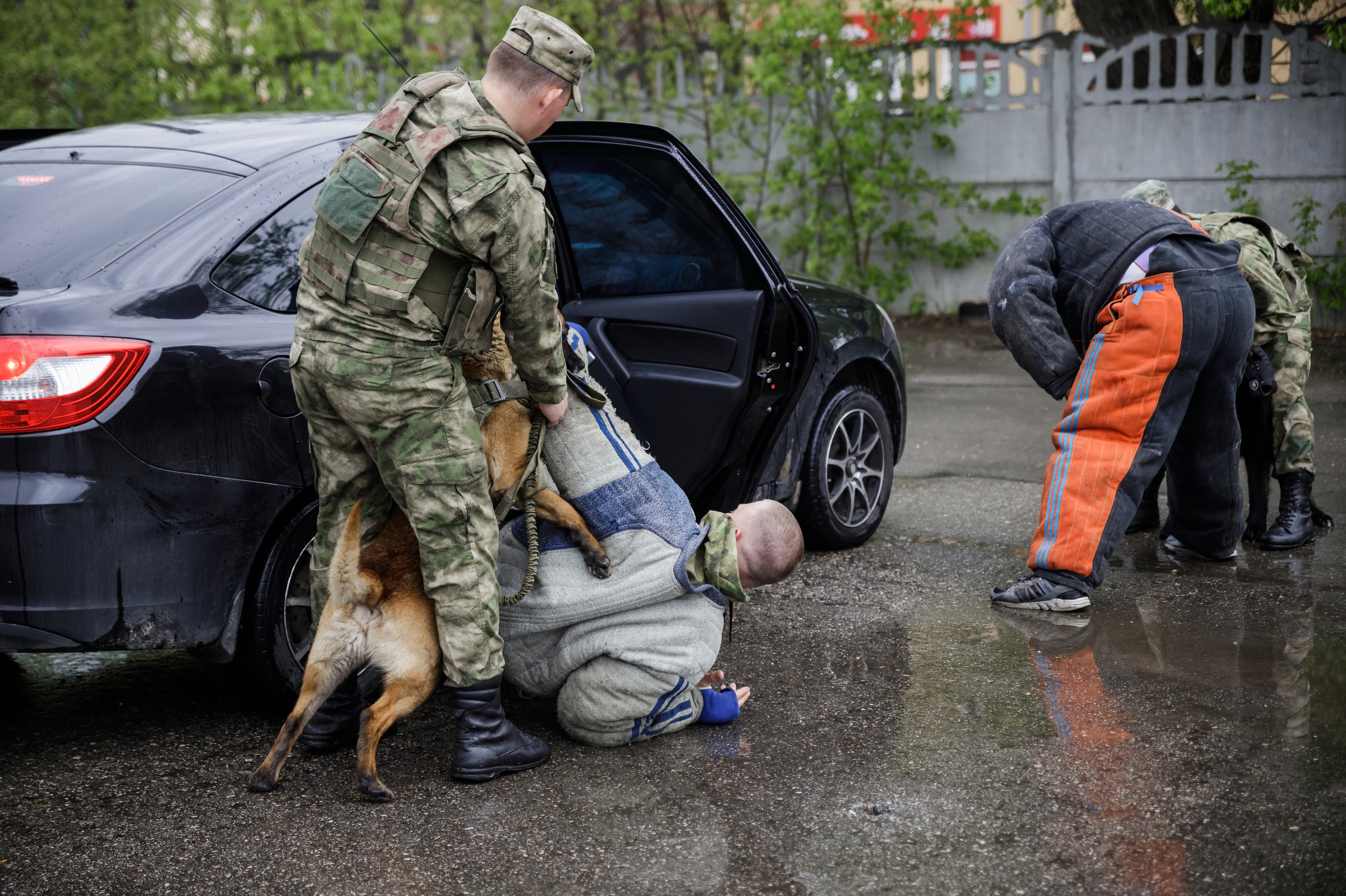 Праздник посвященный героям ВОВ-кинологам и их собакам. НРОО КЦ "Собаковод"