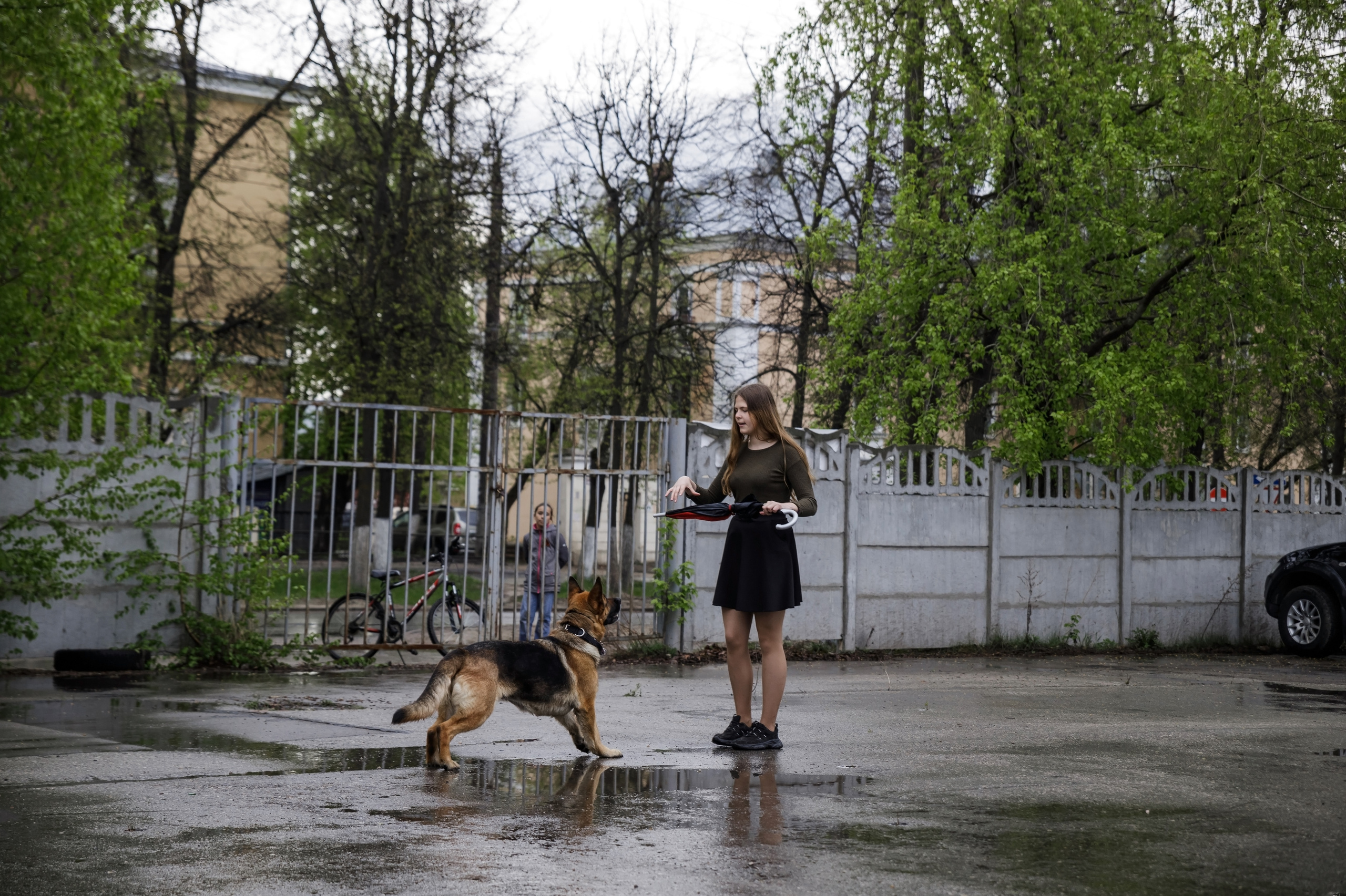 Праздник посвященный героям ВОВ-кинологам и их собакам. НРОО КЦ "Собаковод"