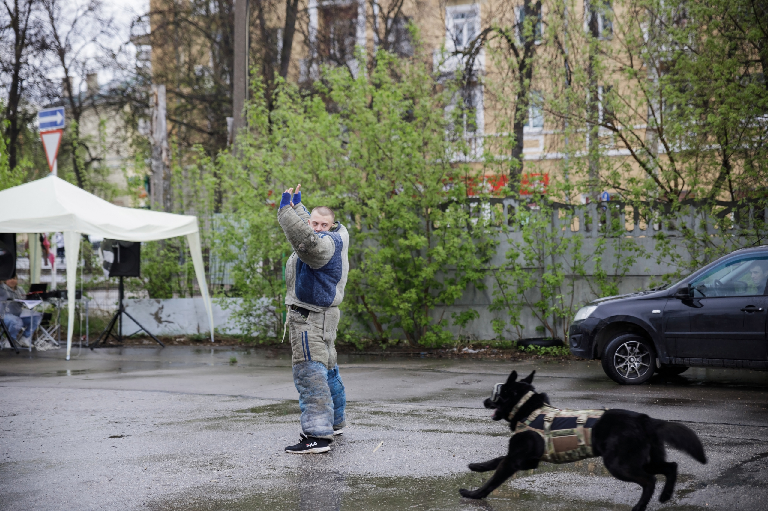 Праздник посвященный героям ВОВ-кинологам и их собакам. НРОО КЦ "Собаковод"