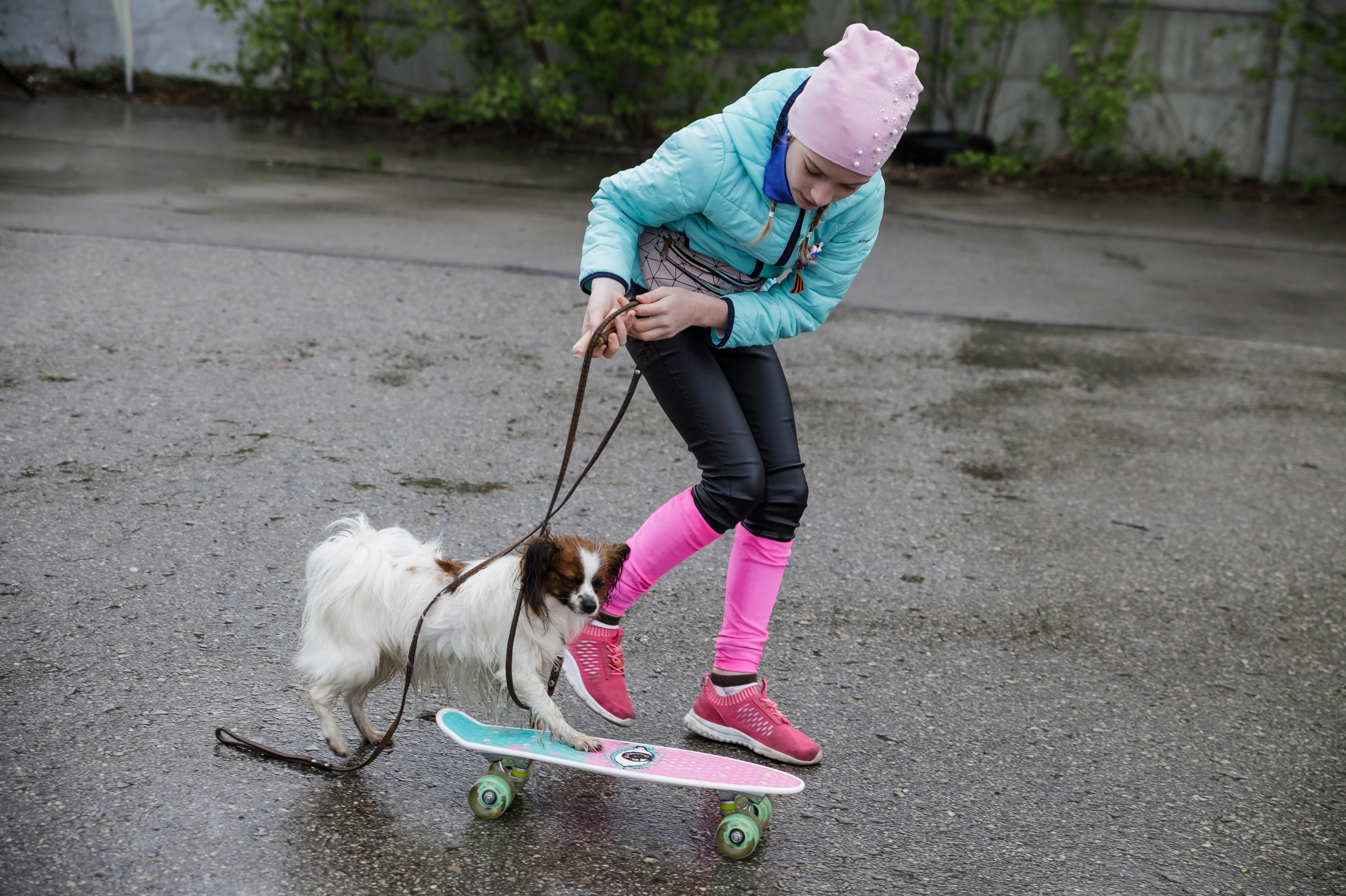 Праздник посвященный героям ВОВ-кинологам и их собакам. НРОО КЦ "Собаковод"