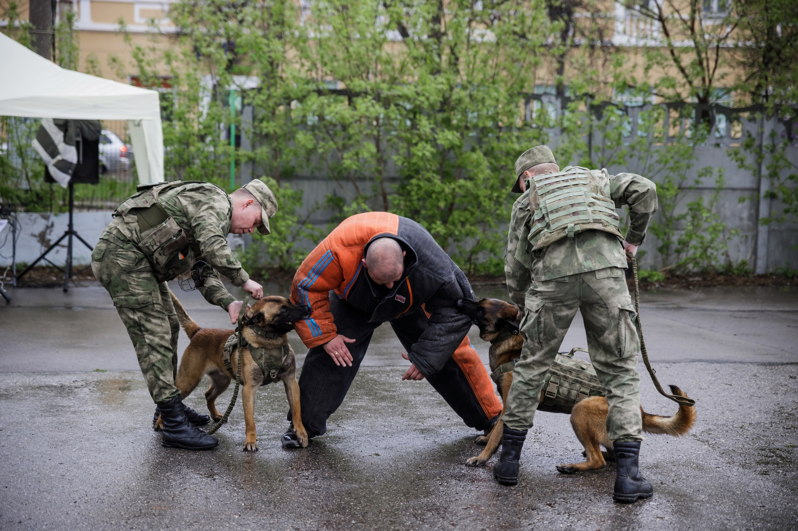 Праздник посвященный героям ВОВ-кинологам и их собакам. НРОО КЦ "Собаковод"