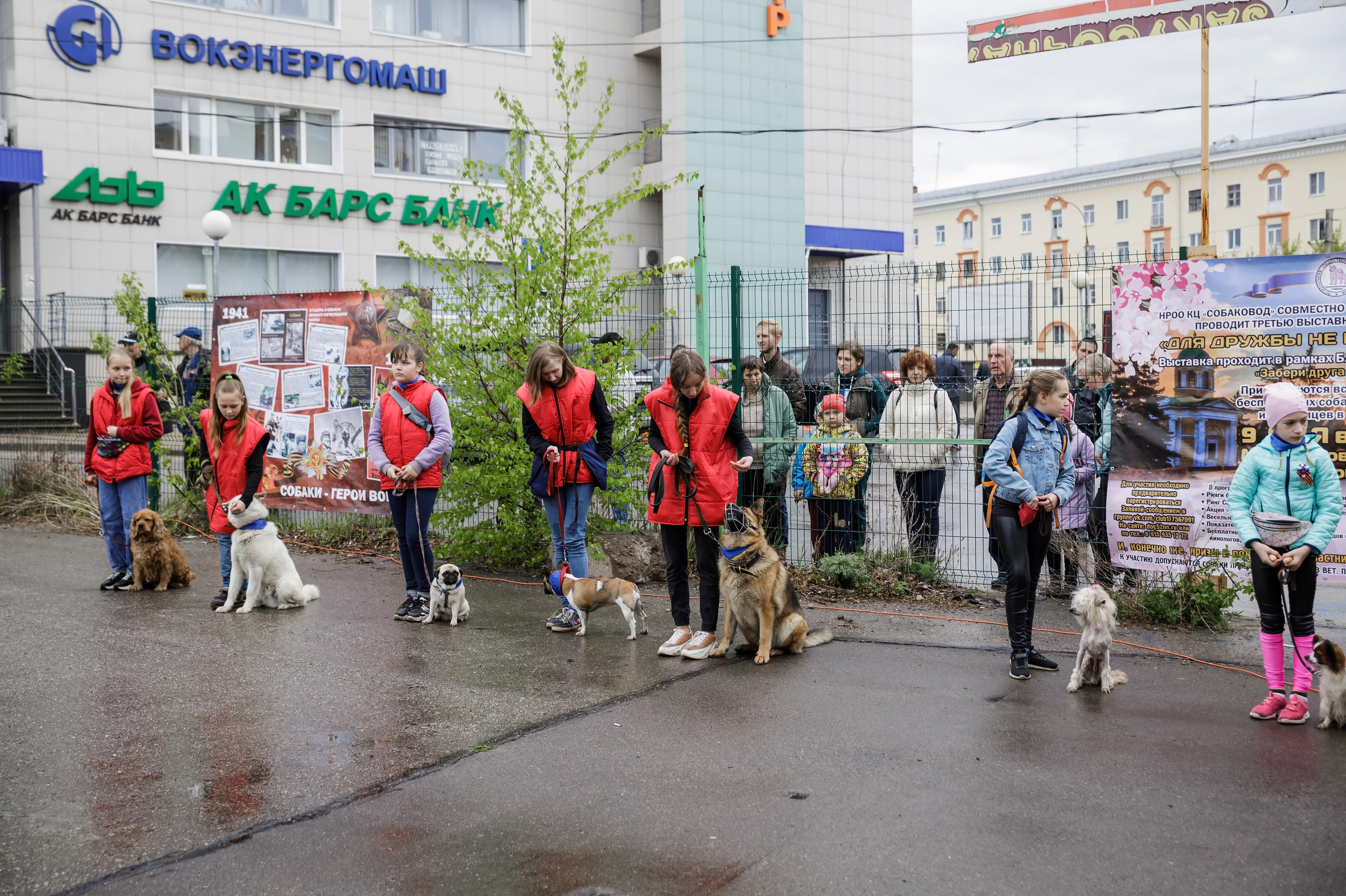 Праздник посвященный героям ВОВ-кинологам и их собакам. НРОО КЦ "Собаковод"