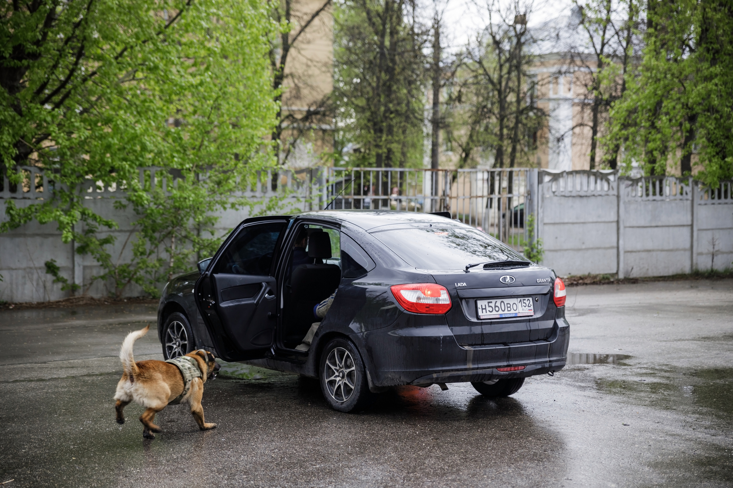 Праздник посвященный героям ВОВ-кинологам и их собакам. НРОО КЦ "Собаковод"