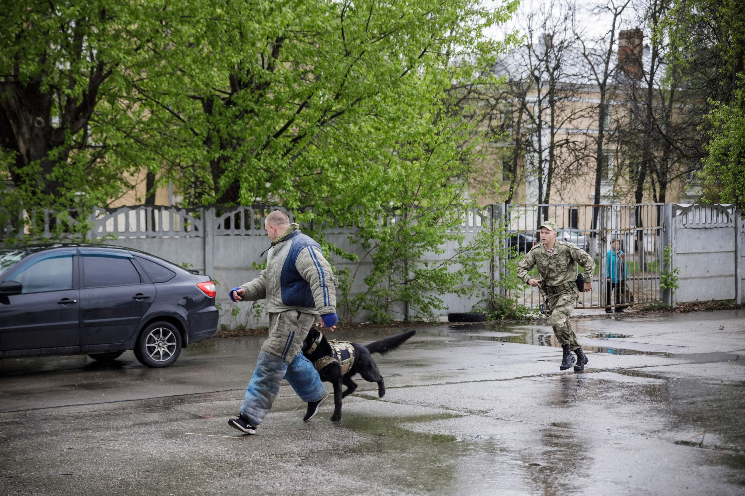 Праздник посвященный героям ВОВ-кинологам и их собакам. НРОО КЦ "Собаковод"