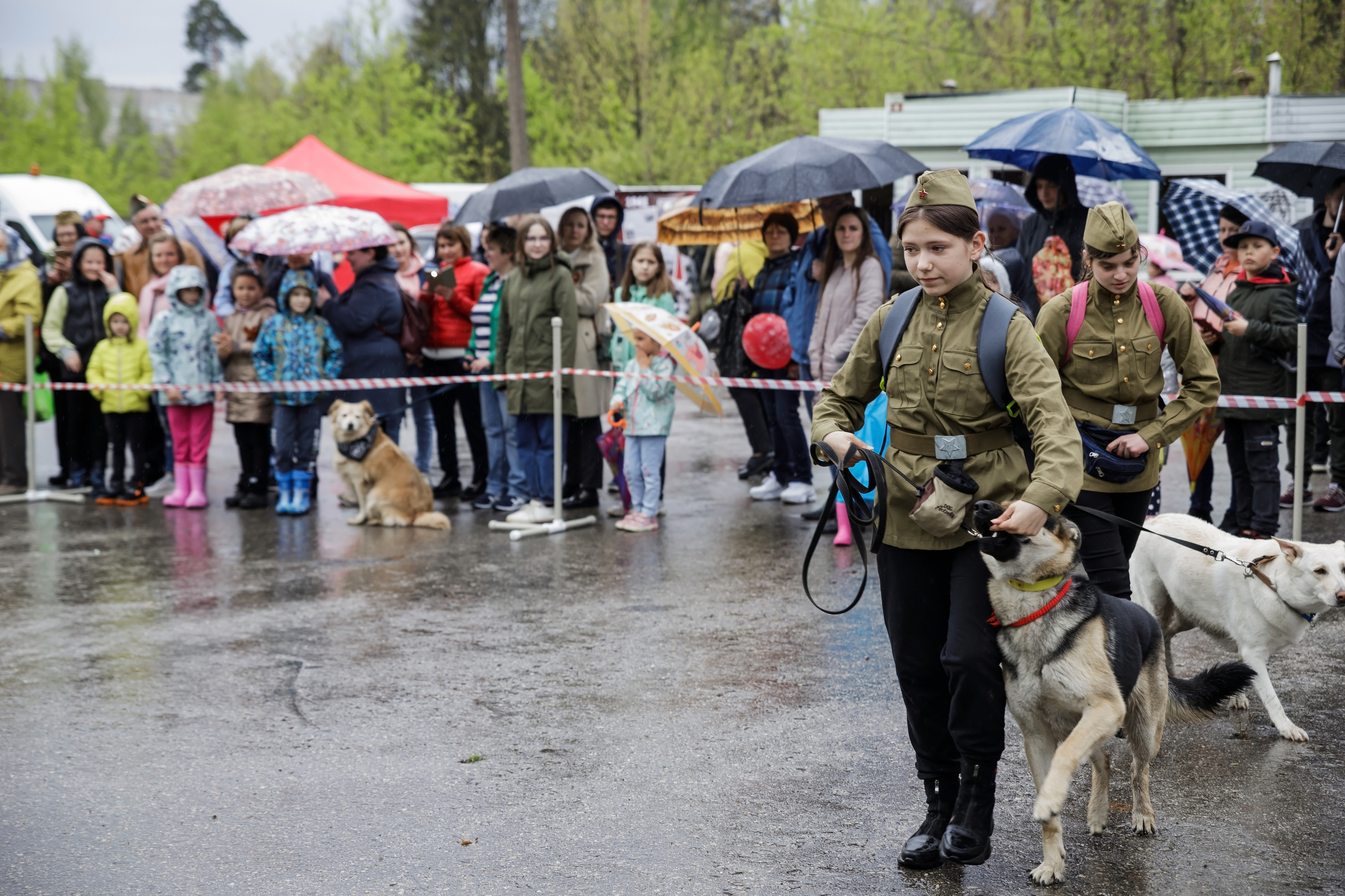 Праздник посвященный героям ВОВ-кинологам и их собакам. НРОО КЦ "Собаковод"