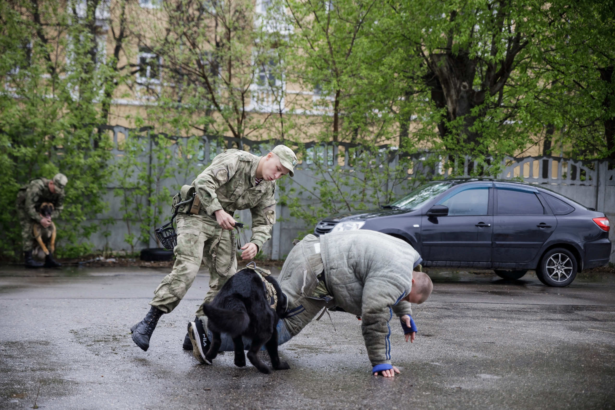 Праздник посвященный героям ВОВ-кинологам и их собакам. НРОО КЦ "Собаковод"