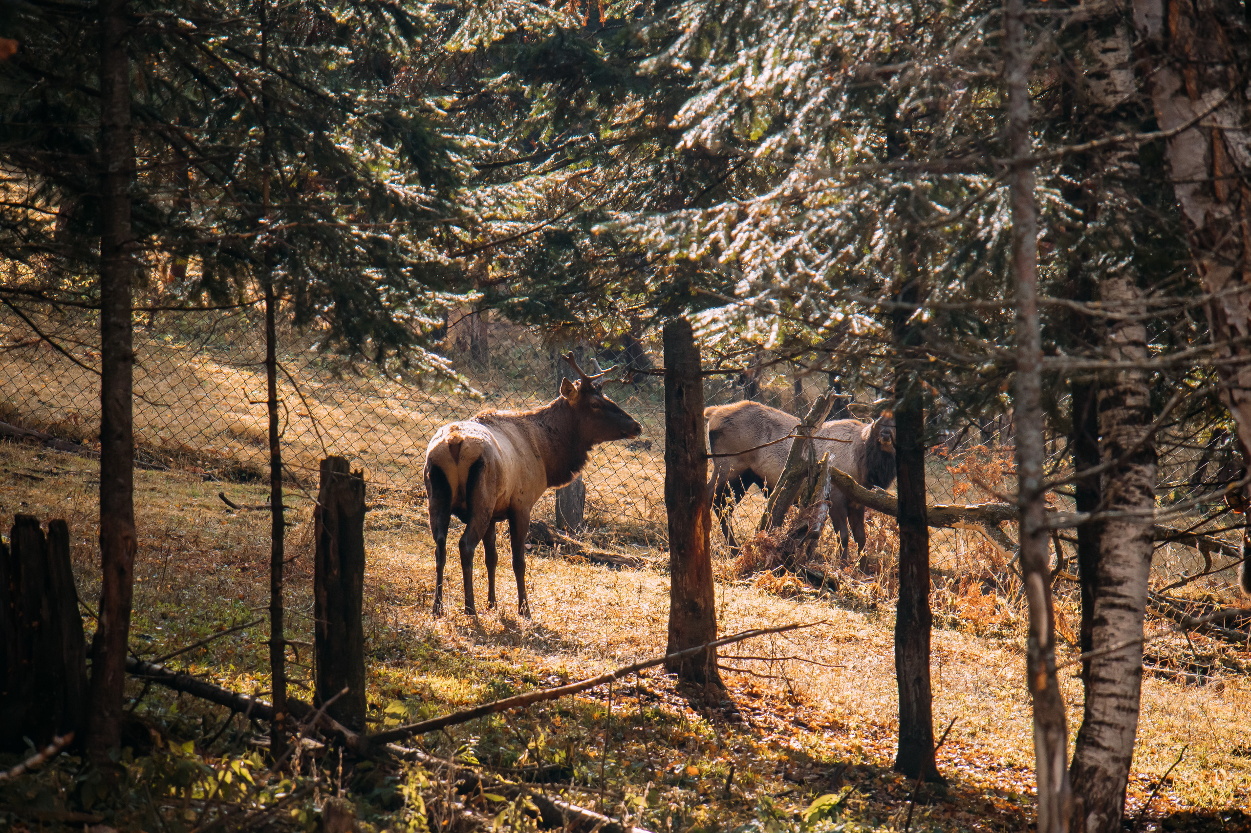 Майский тур. Новый уровень ваших путешествий по Алтаю