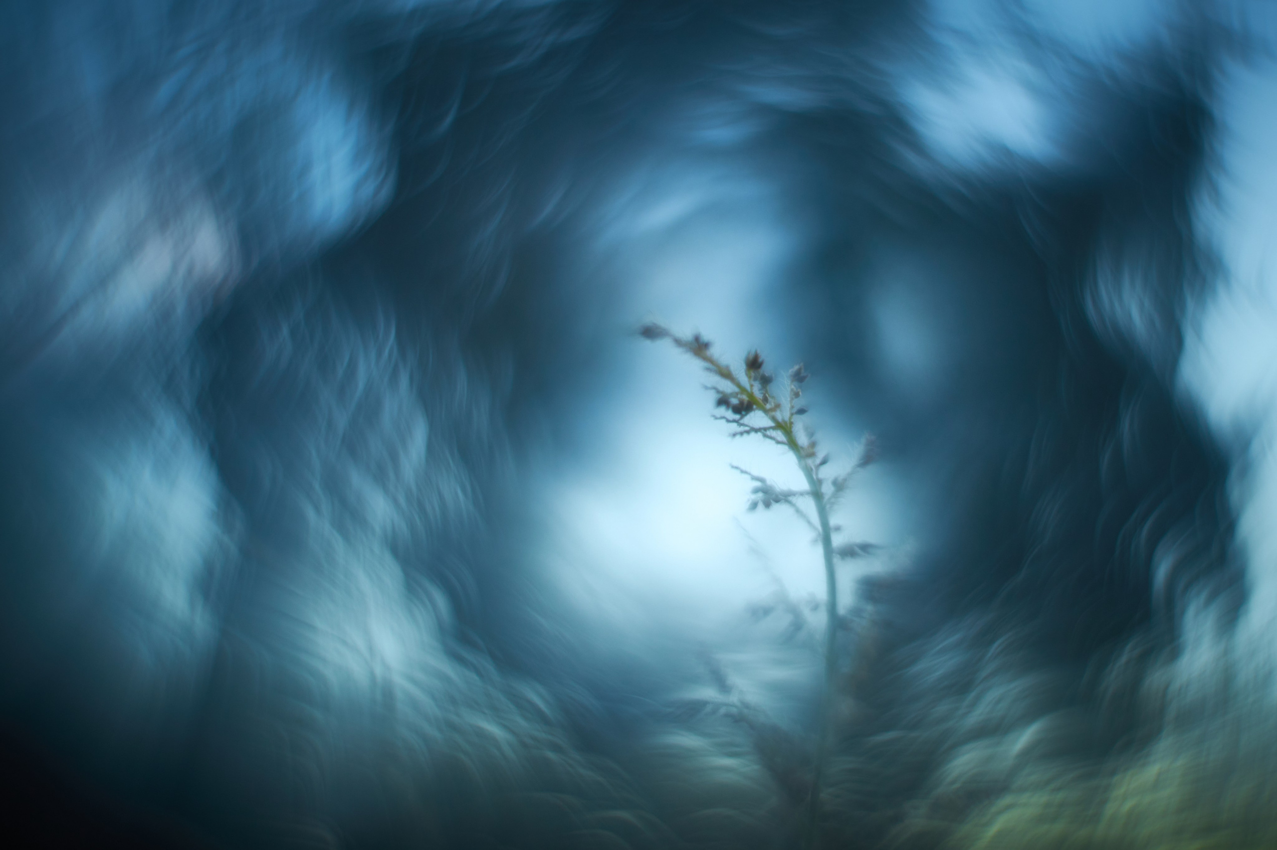 Арт-фотограф во Владивостоке Дмитрий Осипчук