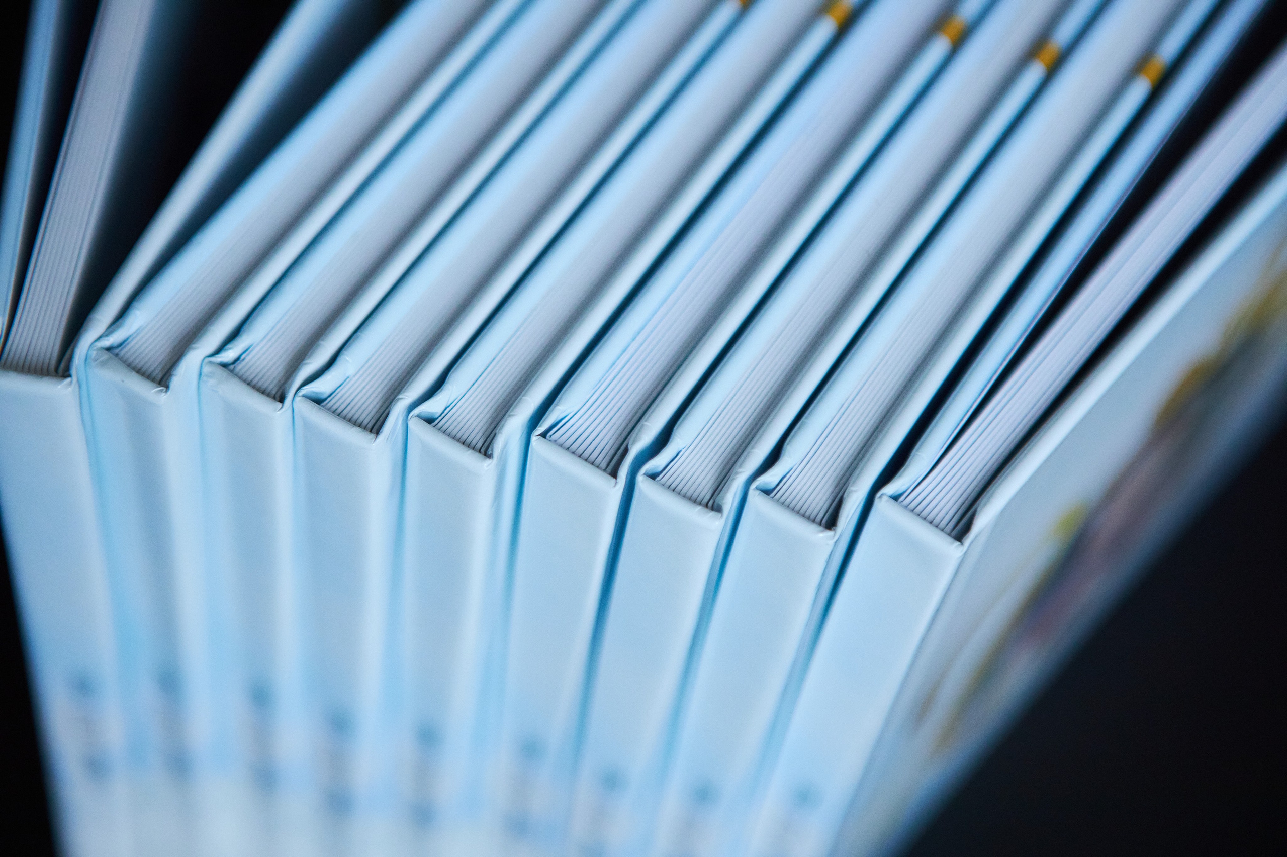 Виды выпускных альбомов. Фотосъёмка и фотоальбомы от Зара Фото