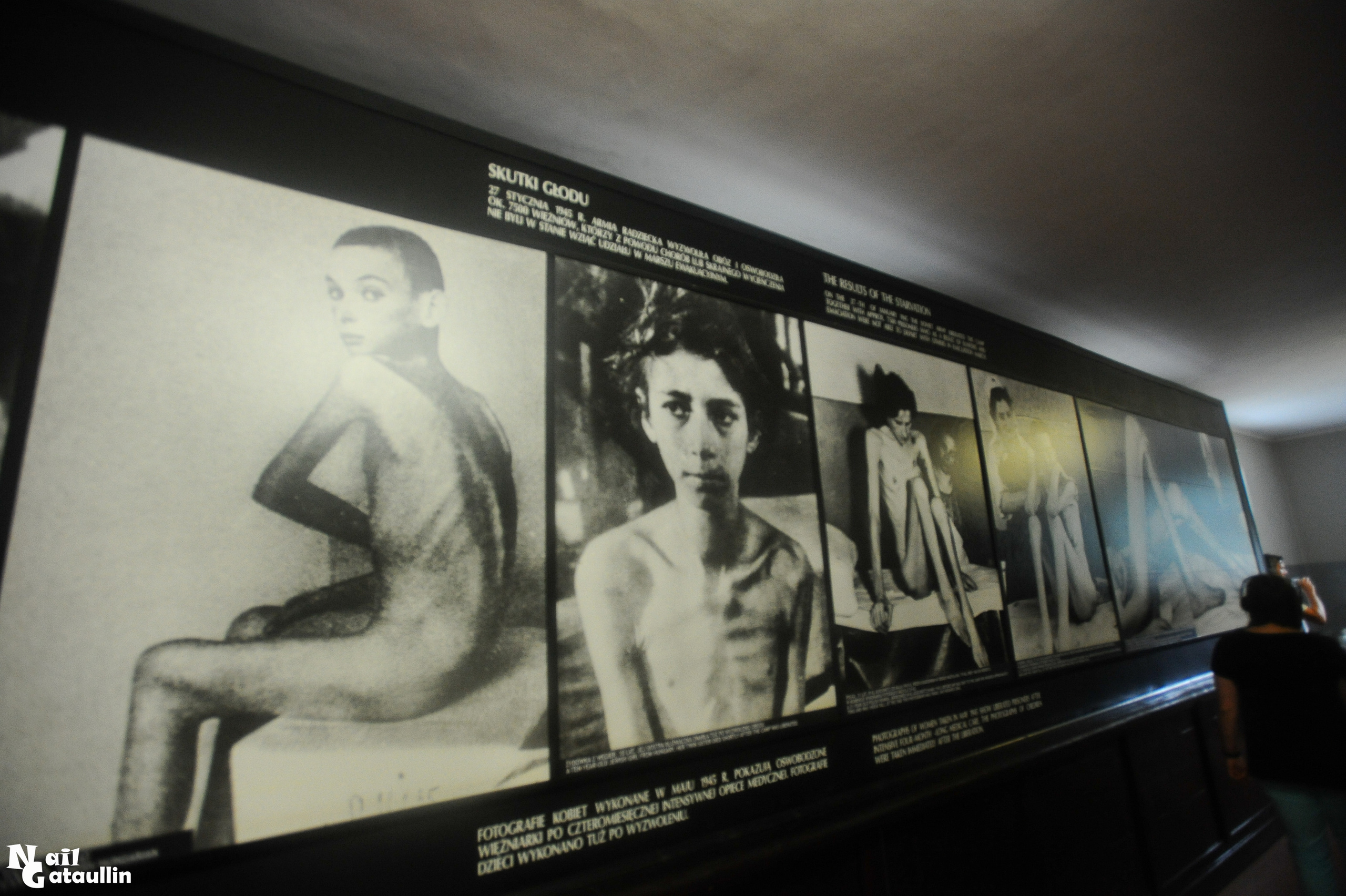 Лагерь смерти (The death camp). Главная (Home)