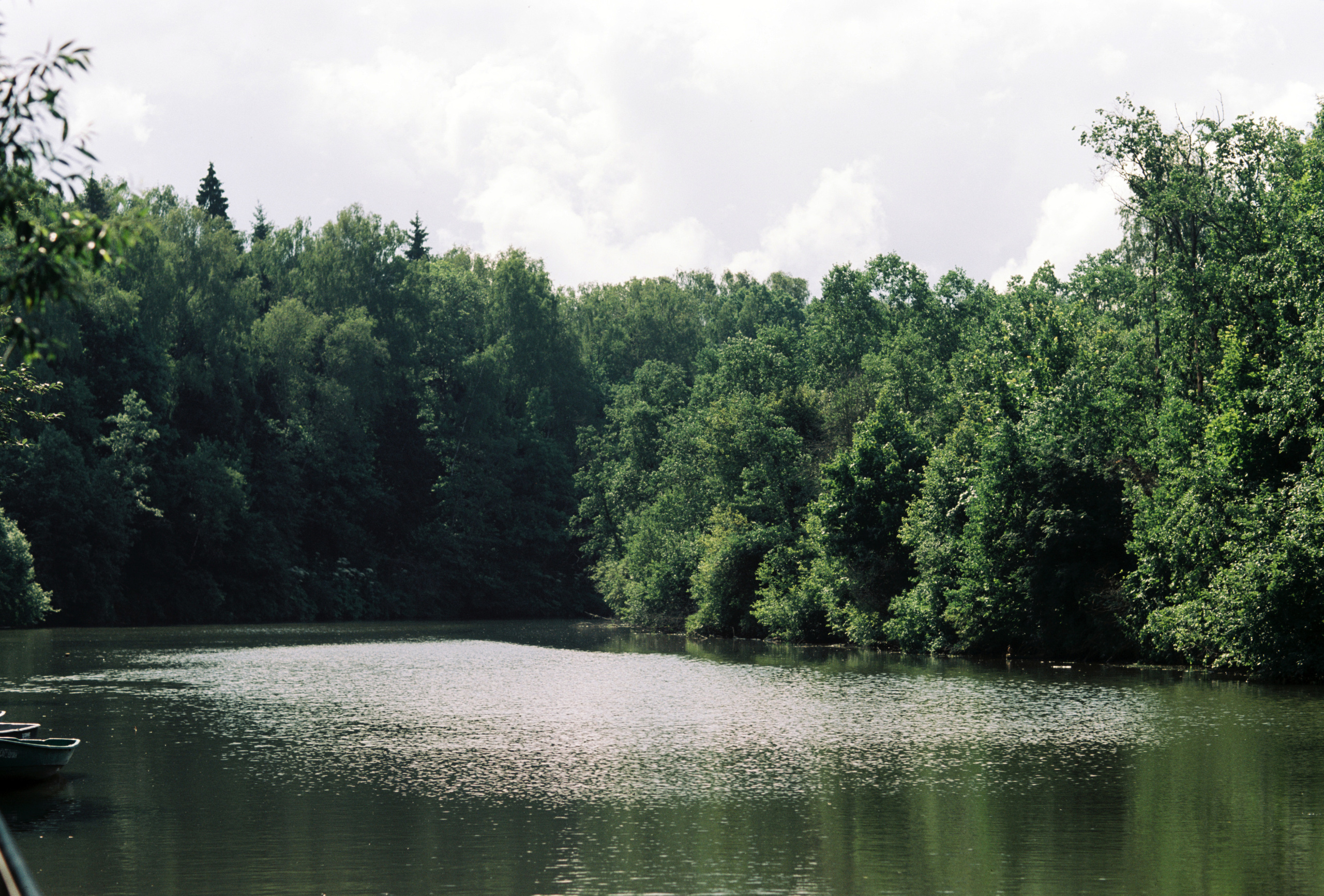KODAK 250D (ECN-II). DOP Aleksey Seleznev