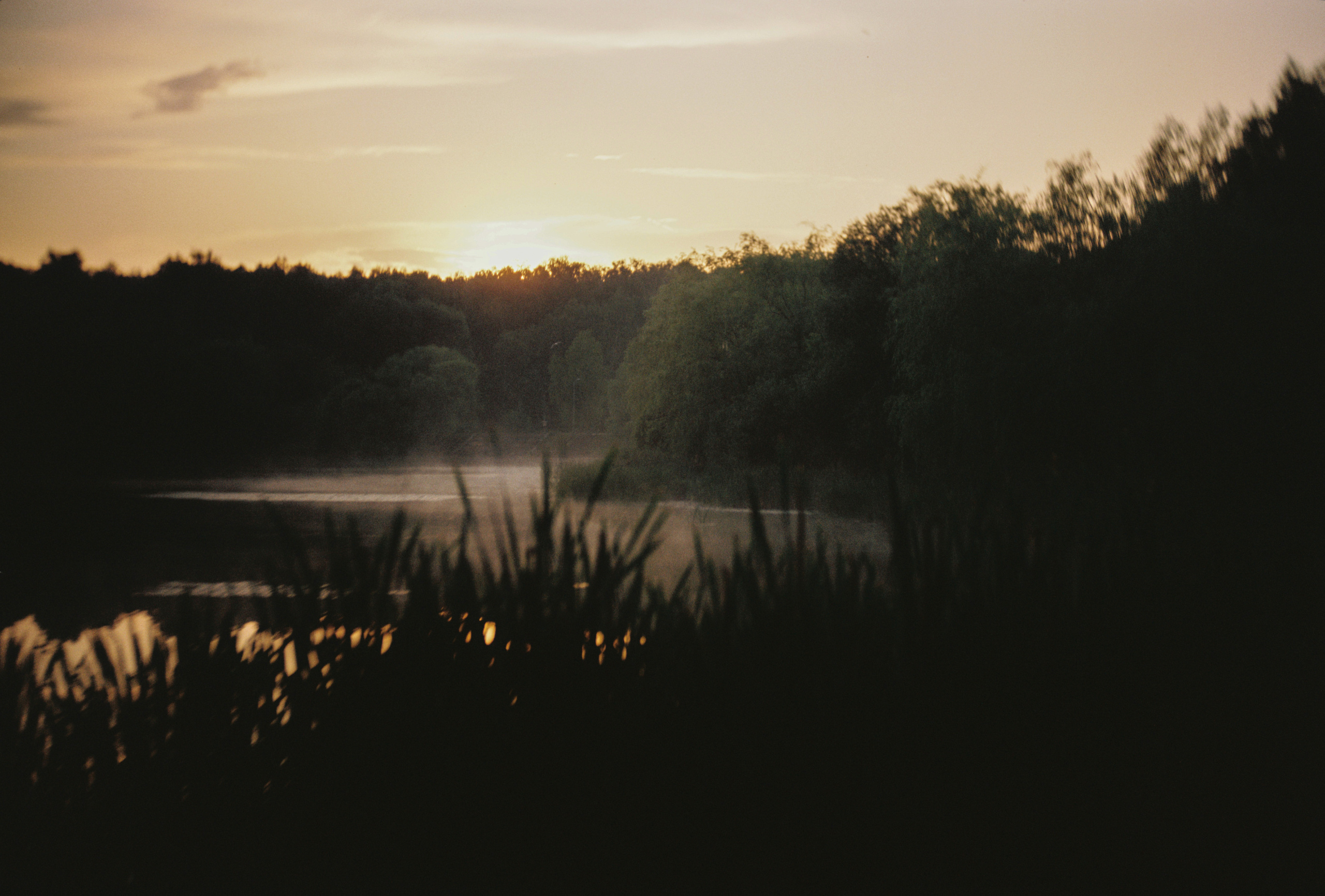 KODAK 250D (ECN-II). DOP Aleksey Seleznev