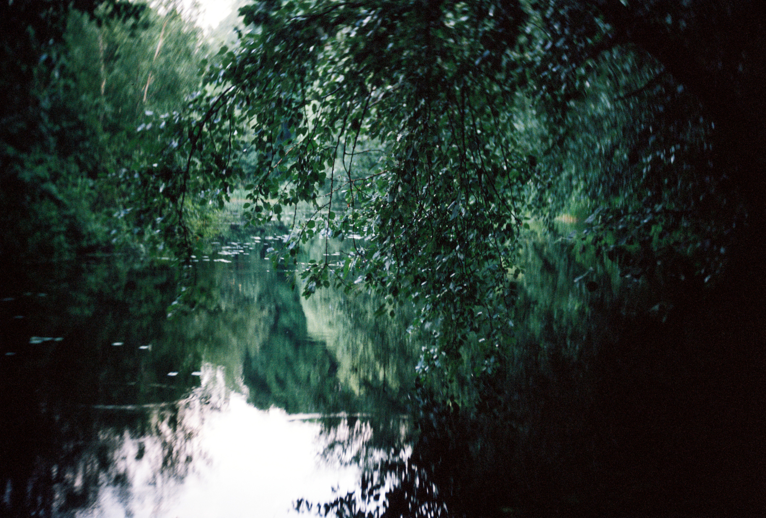 KODAK 250D (ECN-II). DOP Aleksey Seleznev