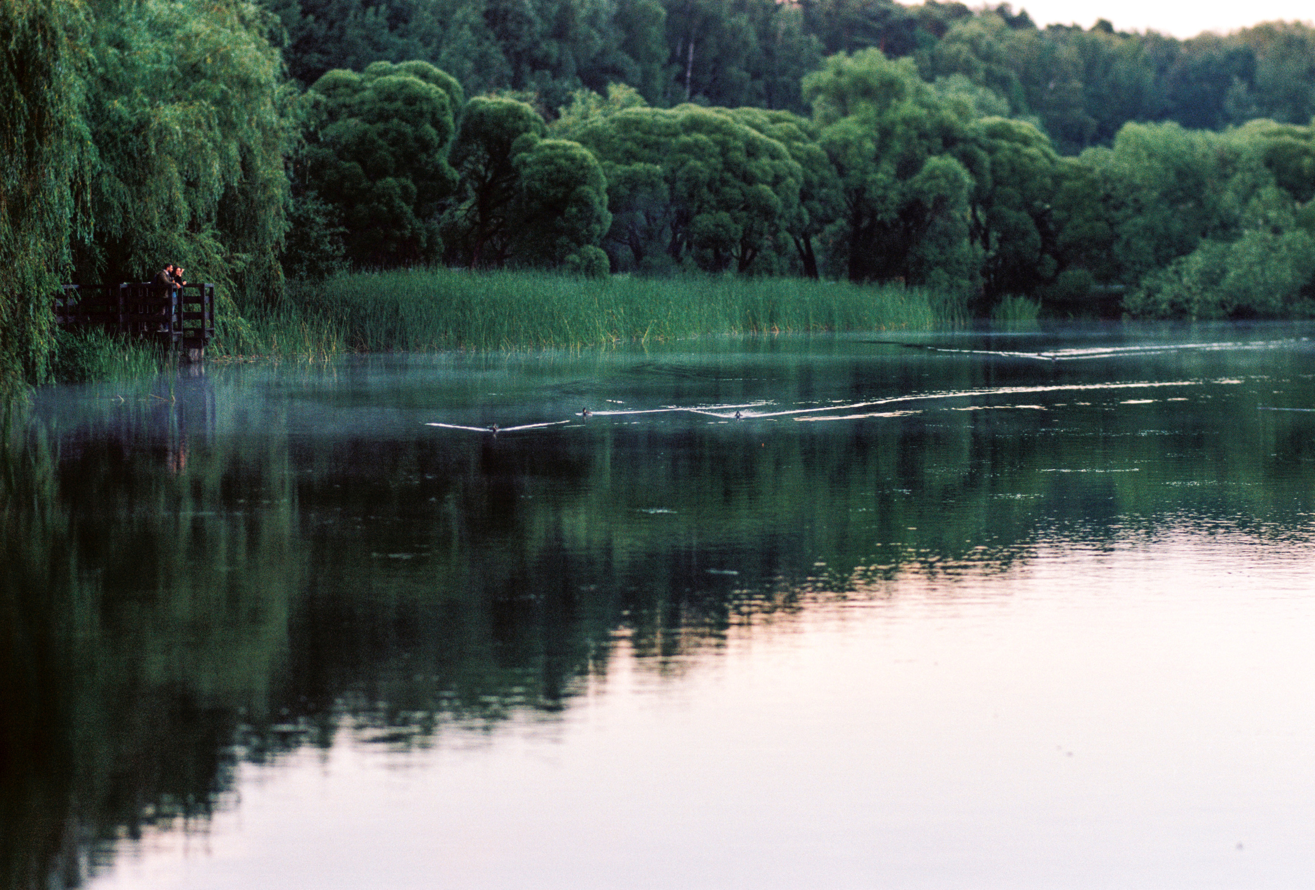 Kodak 50D (EC-N II). DOP Aleksey Seleznev