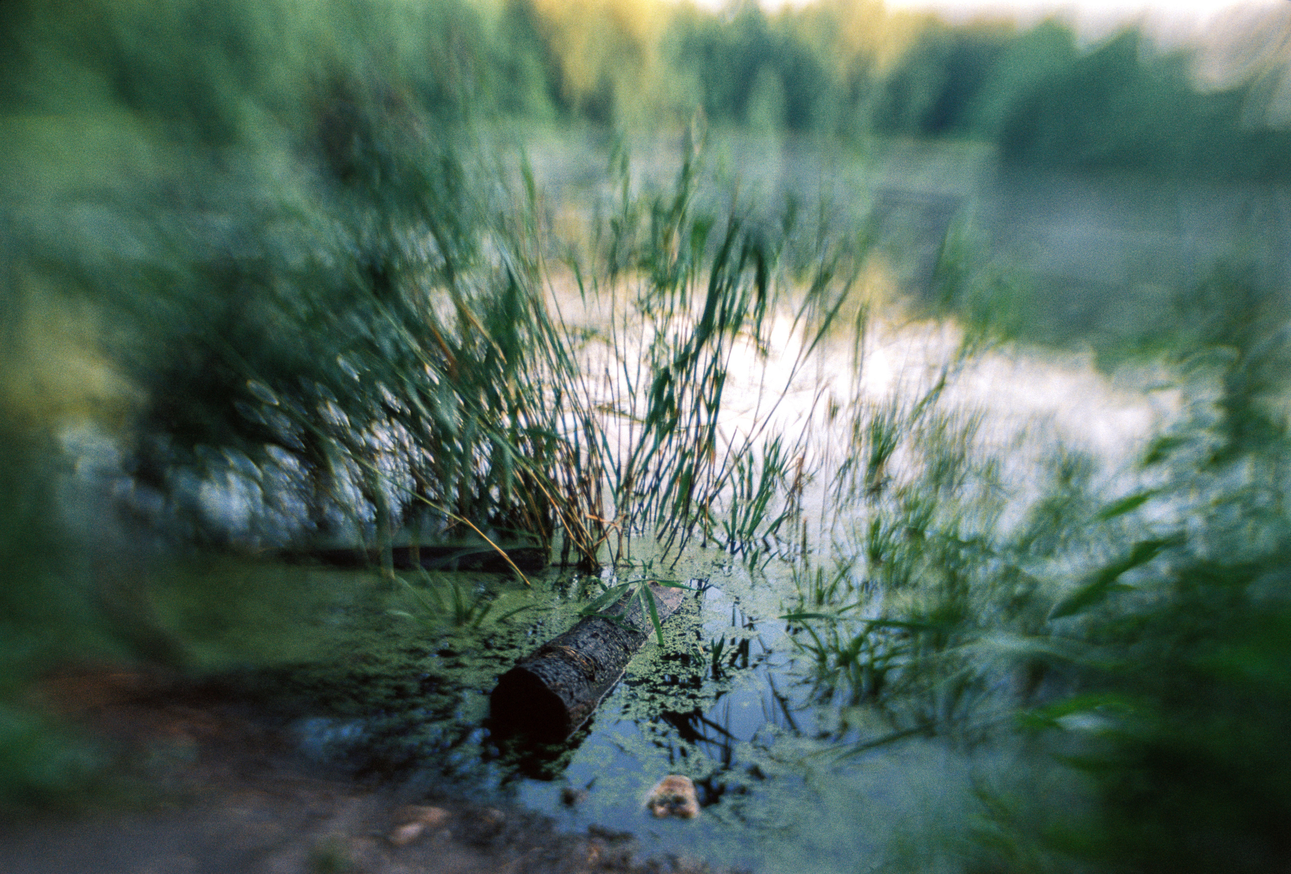 Kodak 50D (EC-N II). DOP Aleksey Seleznev