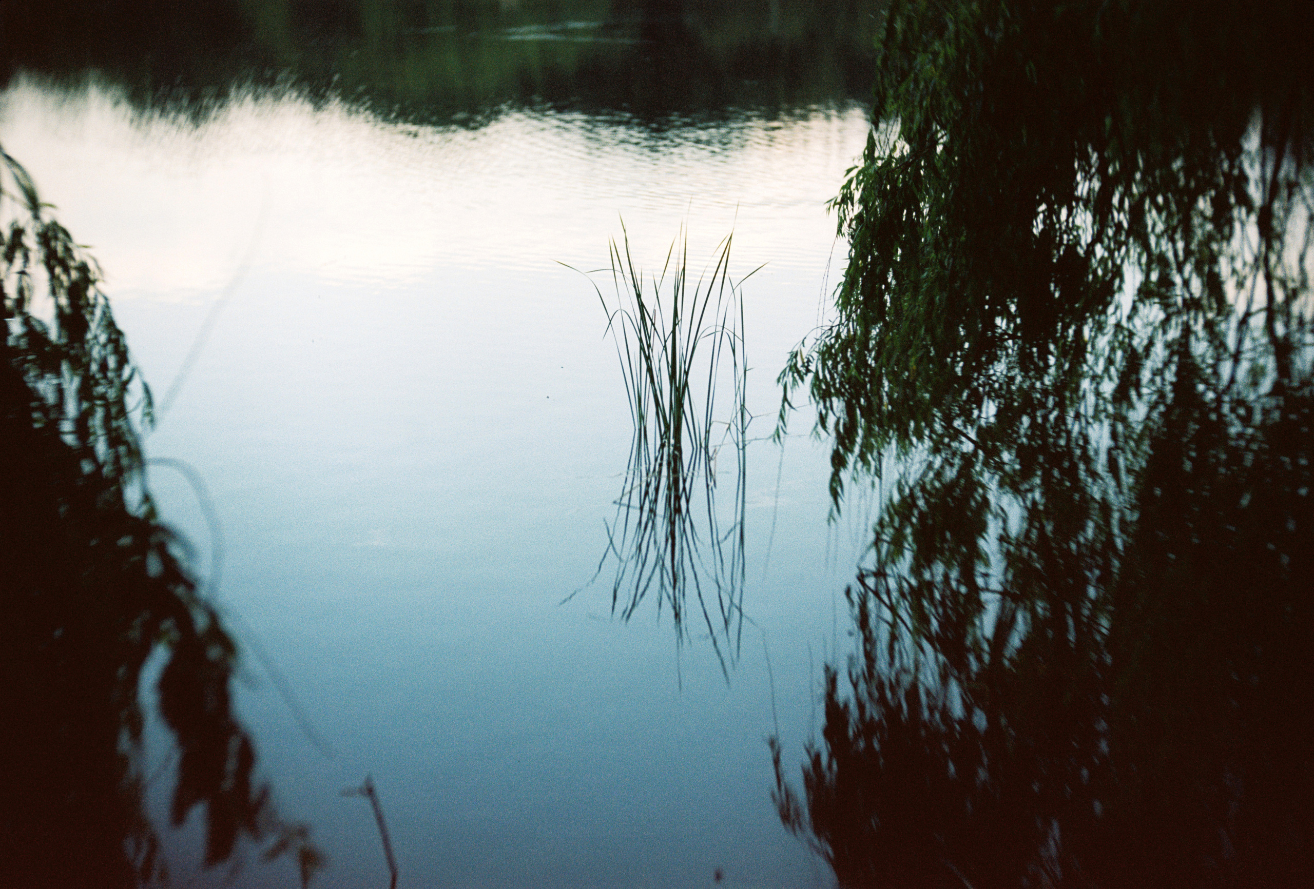 Kodak 50D (EC-N II). DOP Aleksey Seleznev
