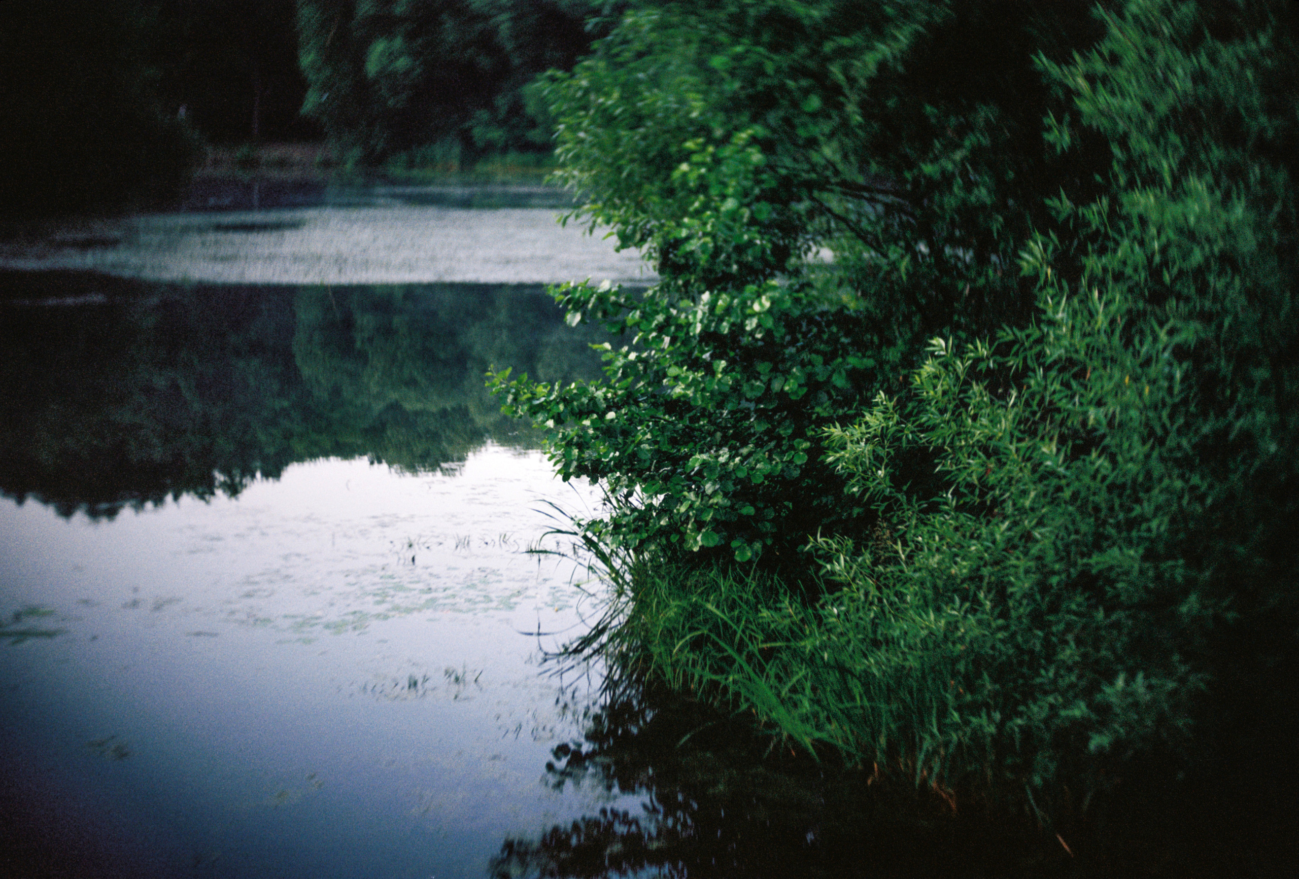 KODAK 250D (ECN-II). DOP Aleksey Seleznev