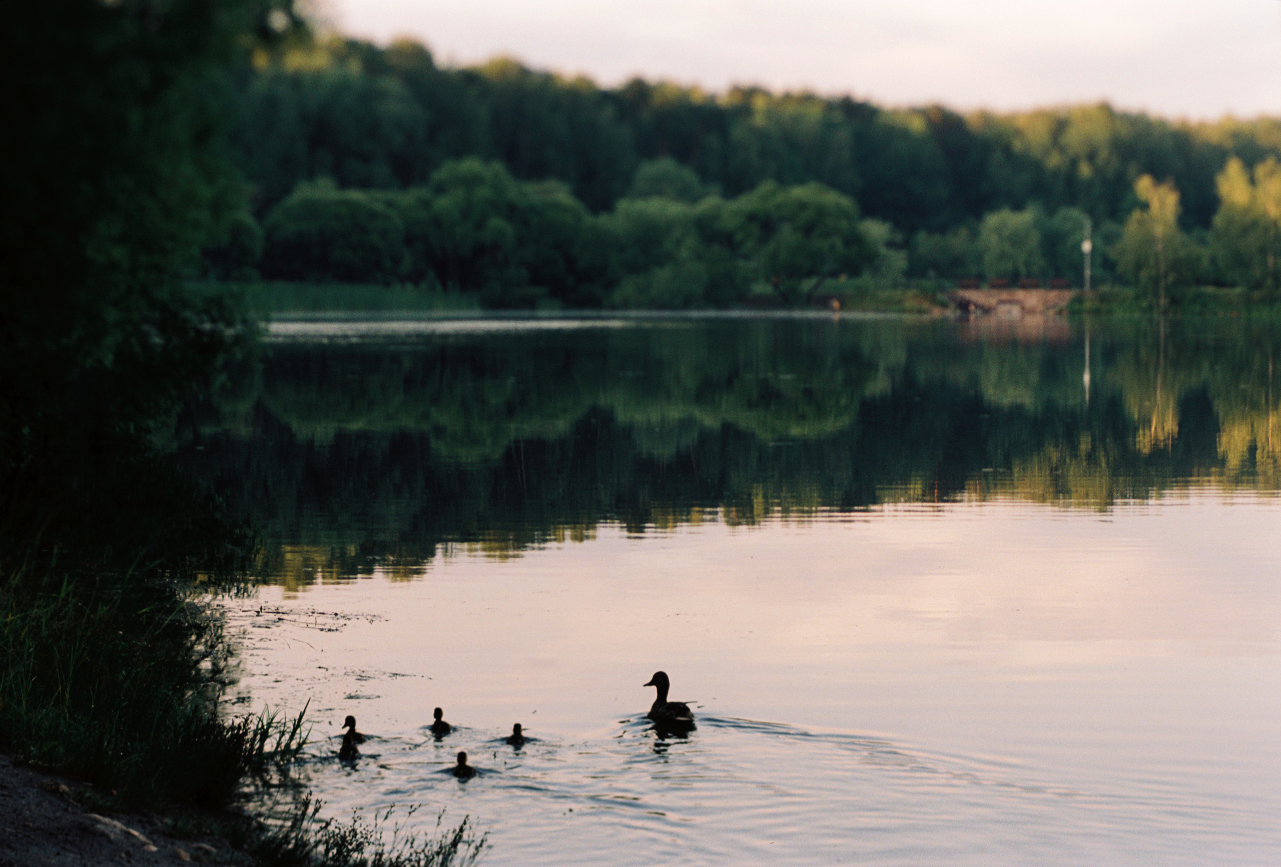 Kodak 50D (EC-N II). DOP Aleksey Seleznev